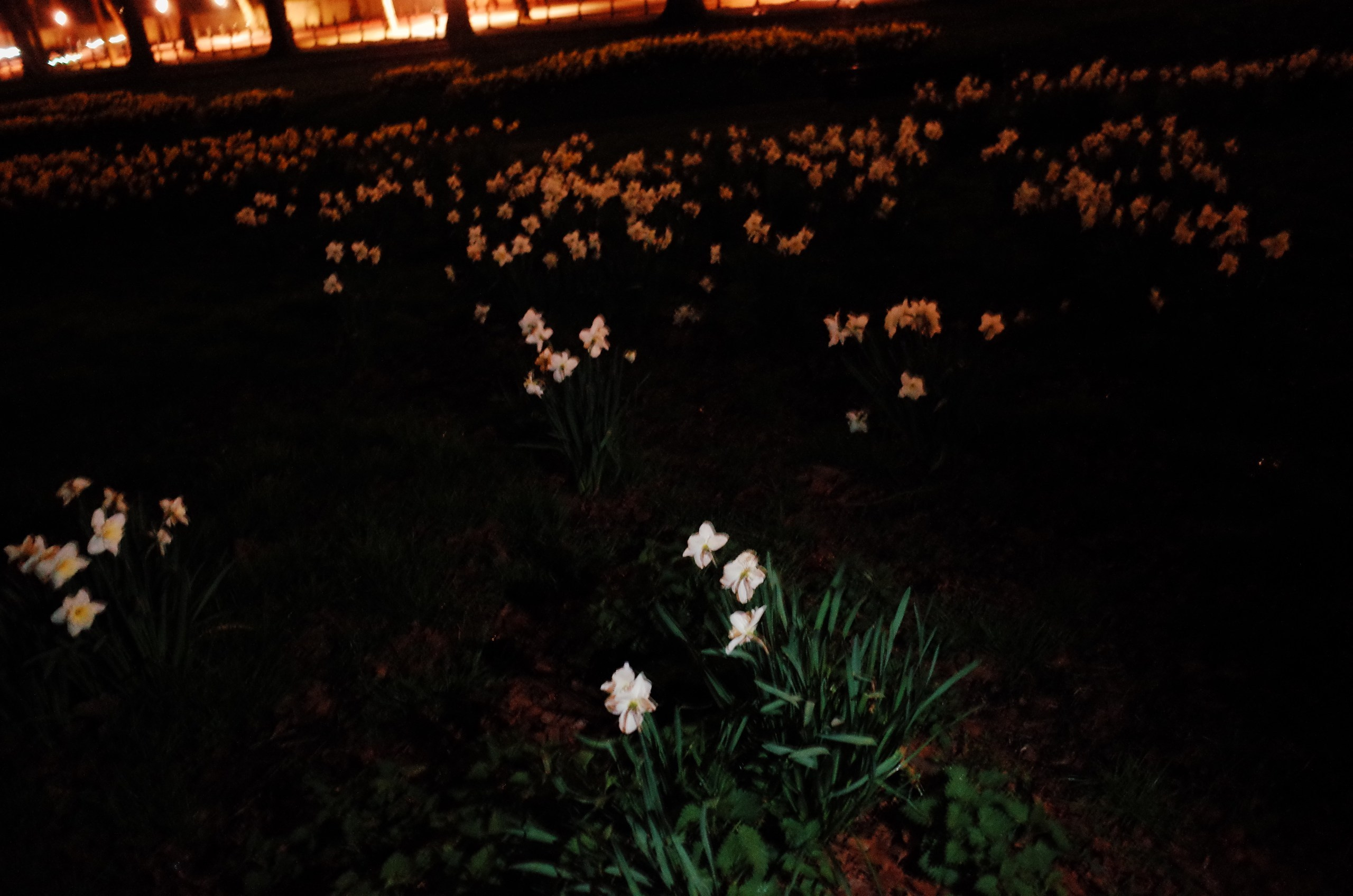 Viktoriia Road. Victoria Dini. Art photography in London / Folkestone, UK