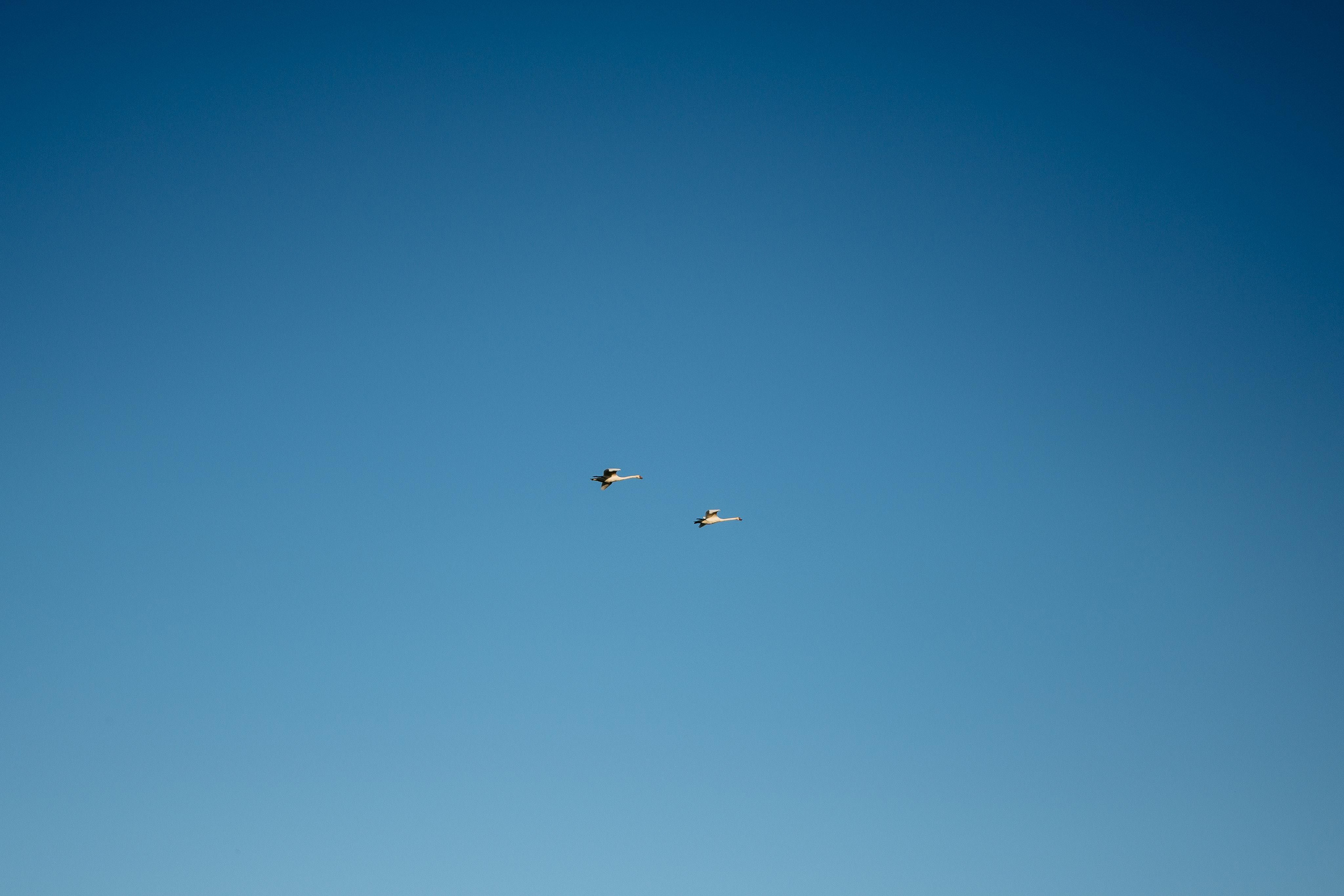 Styled shoot cu Emilian si Silvia. Valentin Melen - fotograf de nunta 🤍