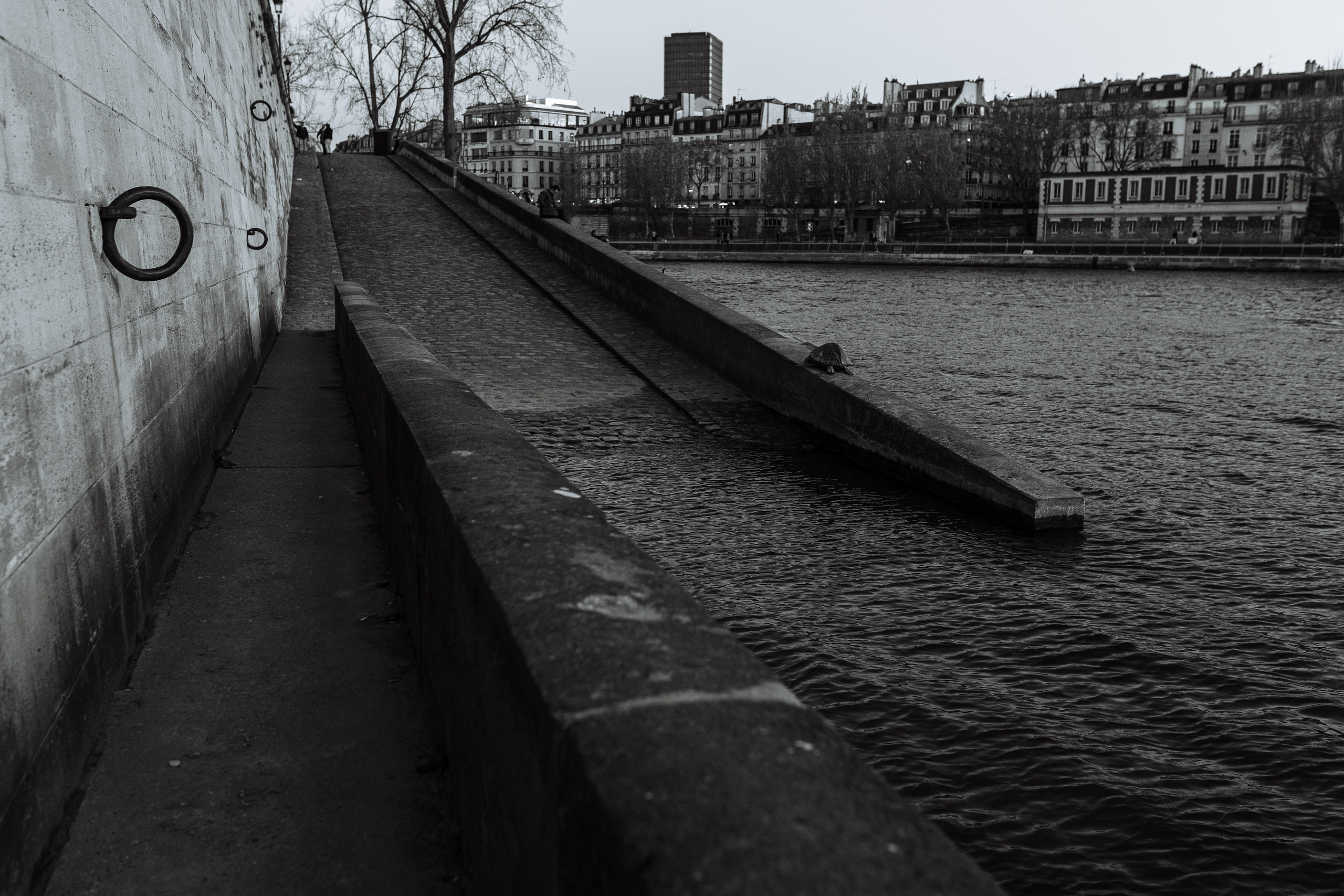 СЪЁМКА СЕБЯ_НОВЫЙ МОСТ, СИТЕ и СЕН-ЛУИ