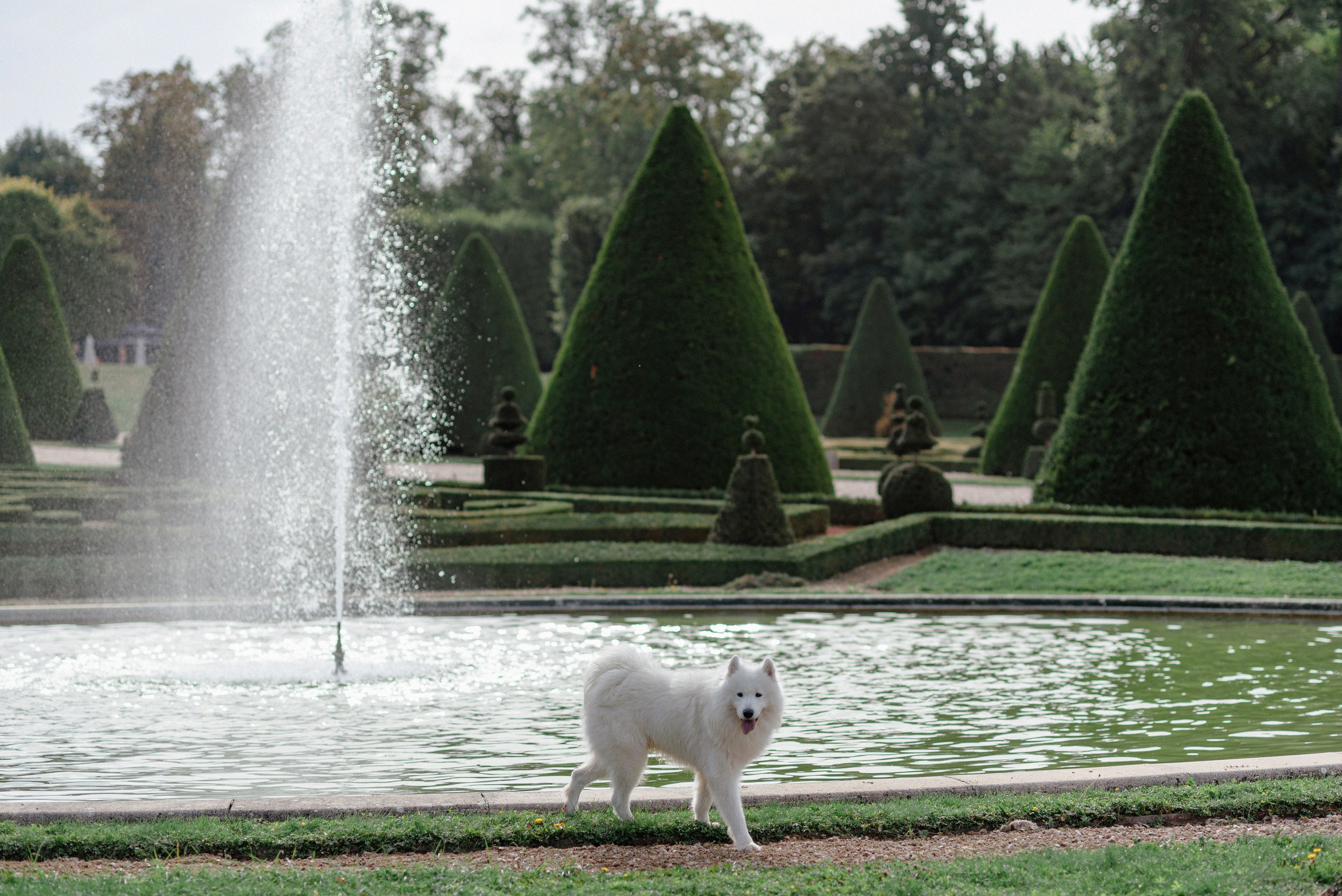 Семейная фотопрогулка в парках Парижа. Ksenia Marchand/ Lifestyle фотограф в Париже
