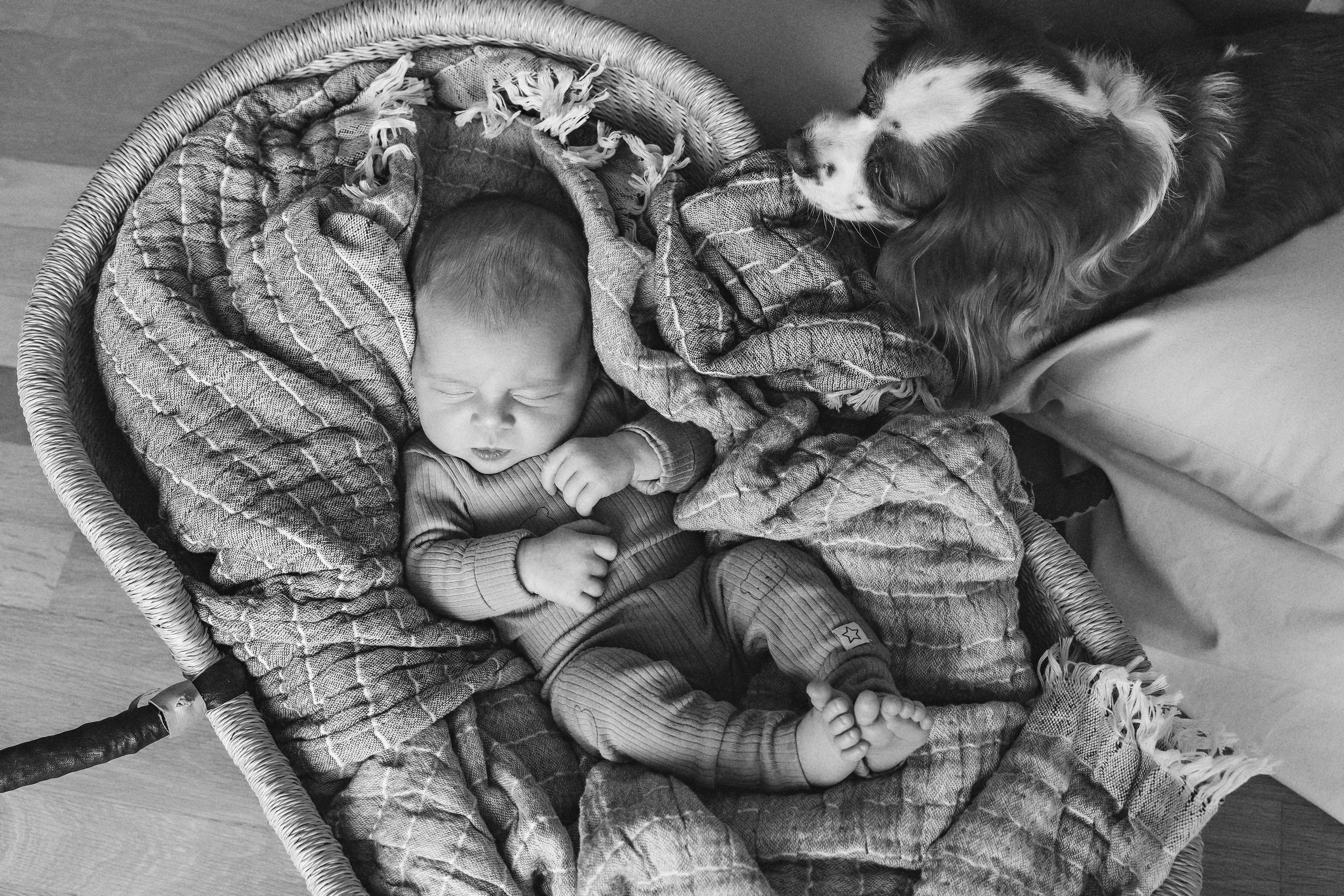 Фотосесия за новородено. Фотограф Ирина Йотова