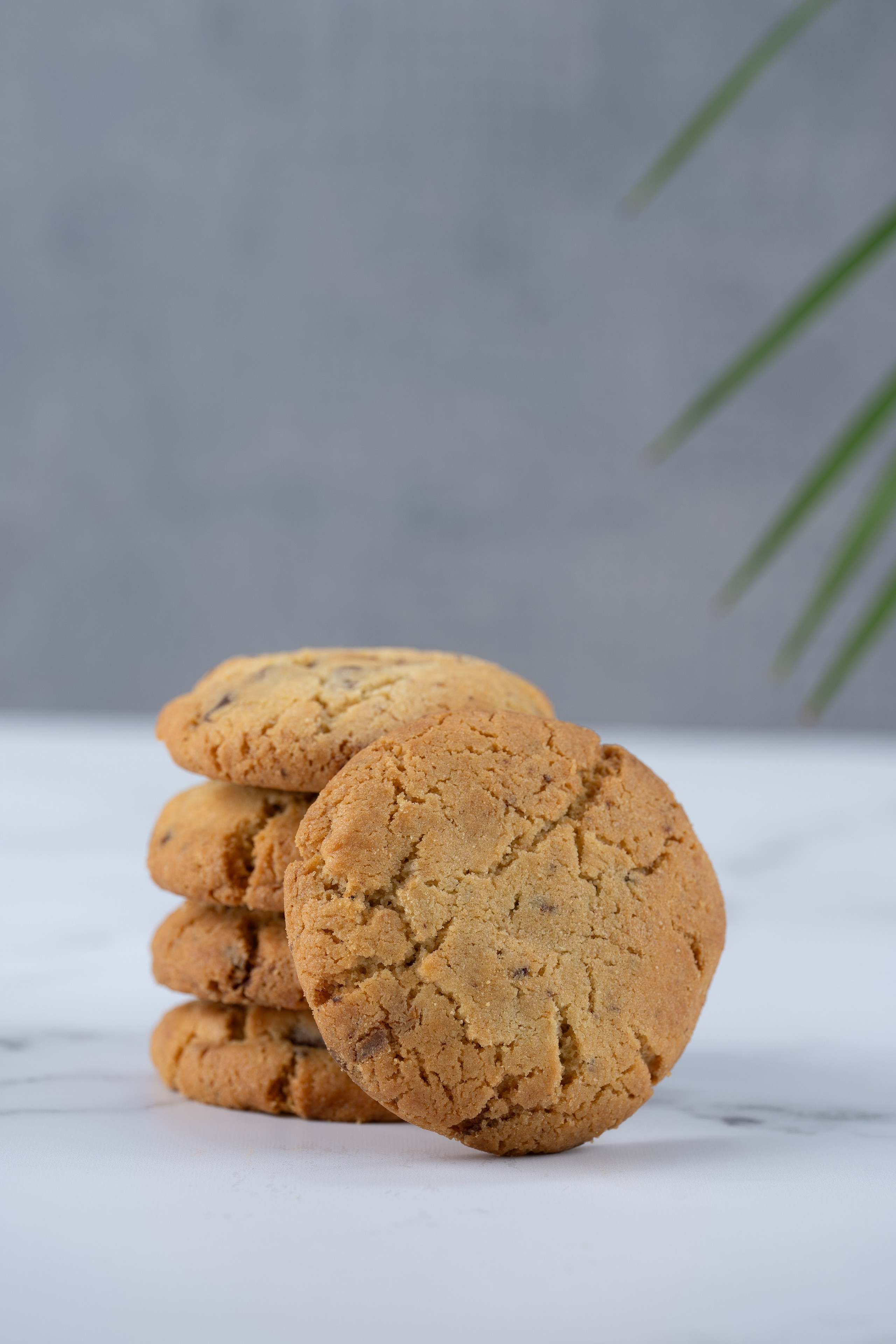 Still life. Fotografo di famiglia, neonati, maternity, ritratti, matrimoni, cerimonie, Rimini