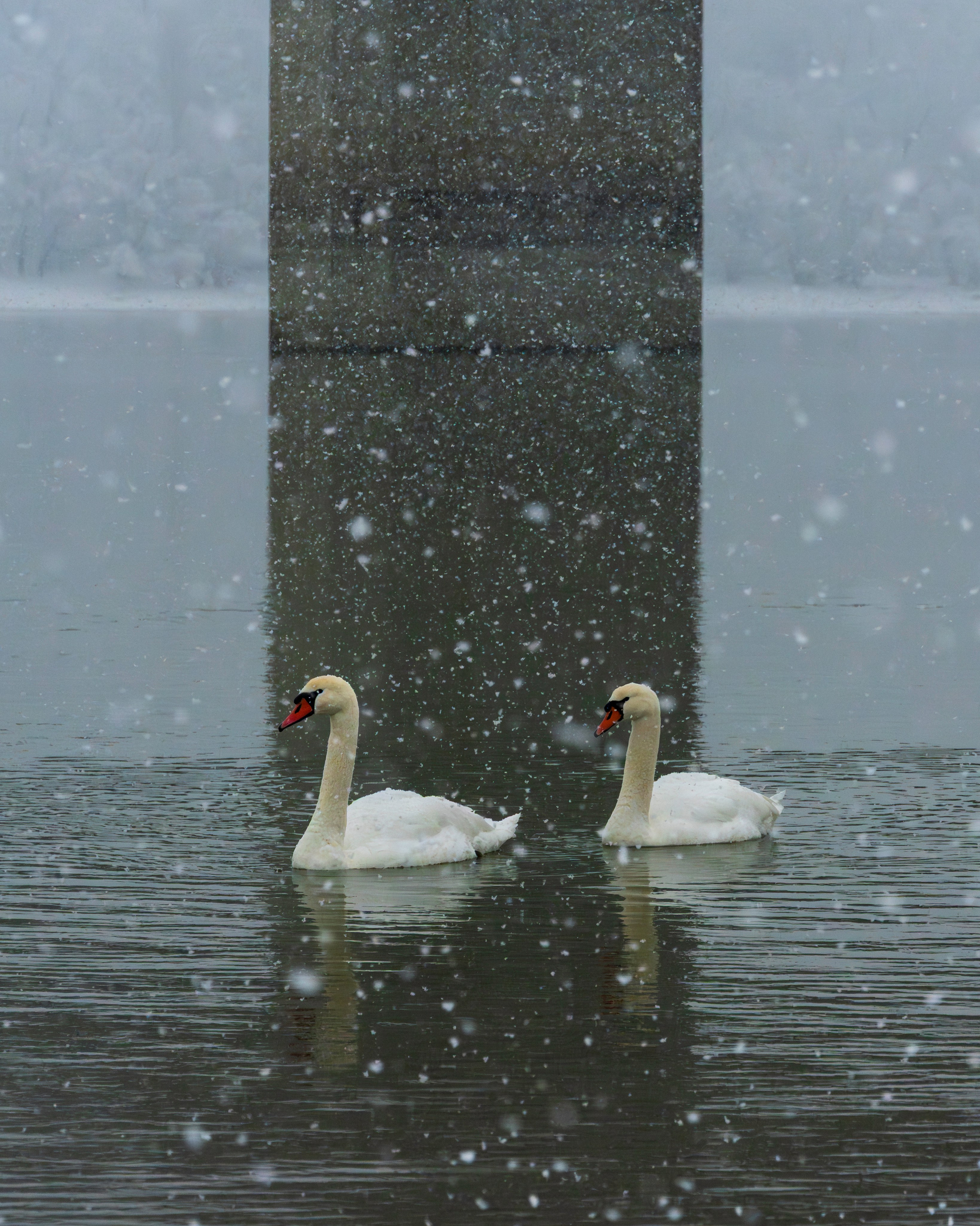 ABOUT. Pavel Baturin Landscape Photography