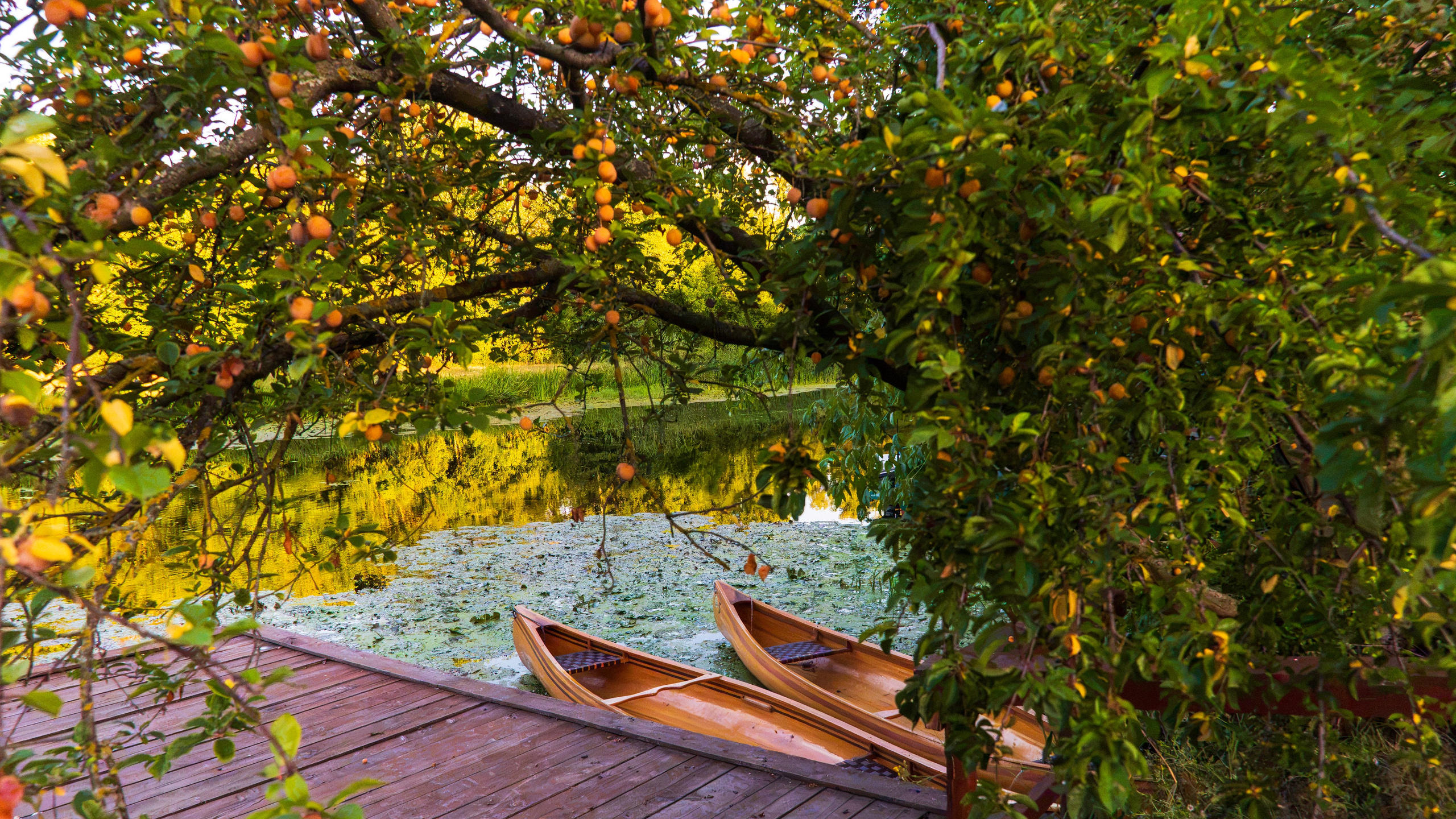 SERBIA. Pavel Baturin Landscape Photography