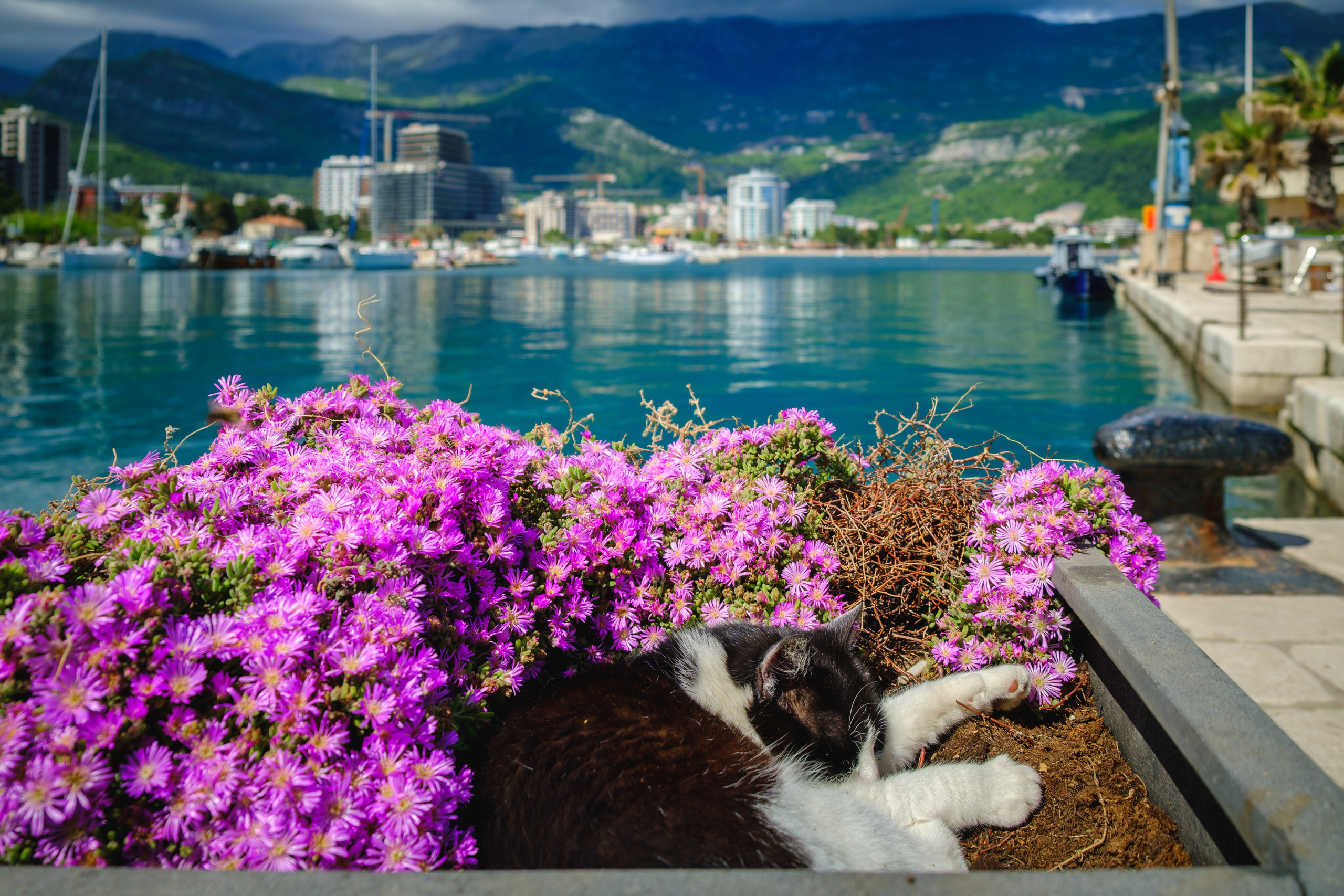 MONTENEGRO. Pavel Baturin Landscape Photography