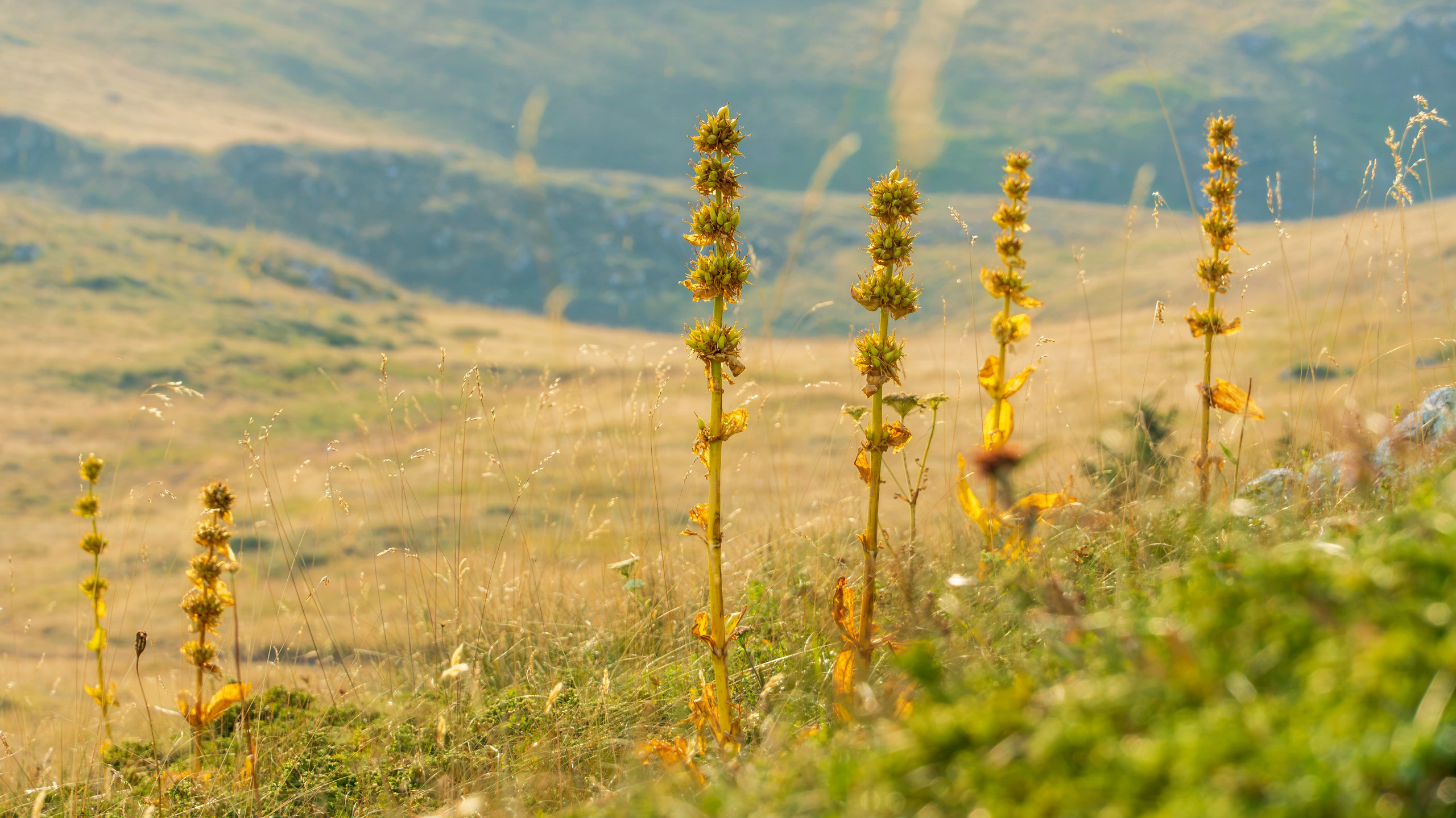 BOSNIA AND HERZEGOVINA. Pavel Baturin Landscape Photography