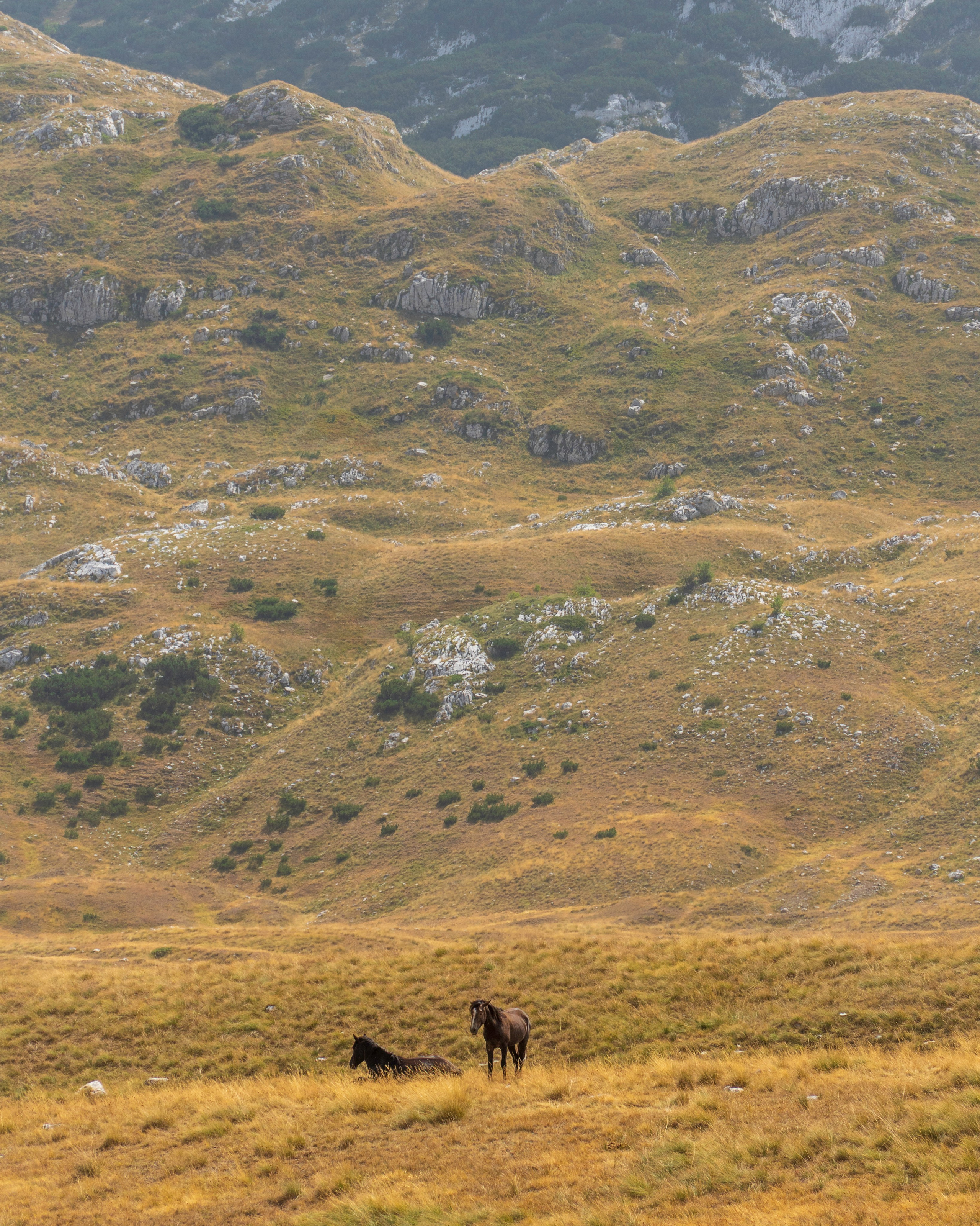 MONTENEGRO. Pavel Baturin Landscape Photography
