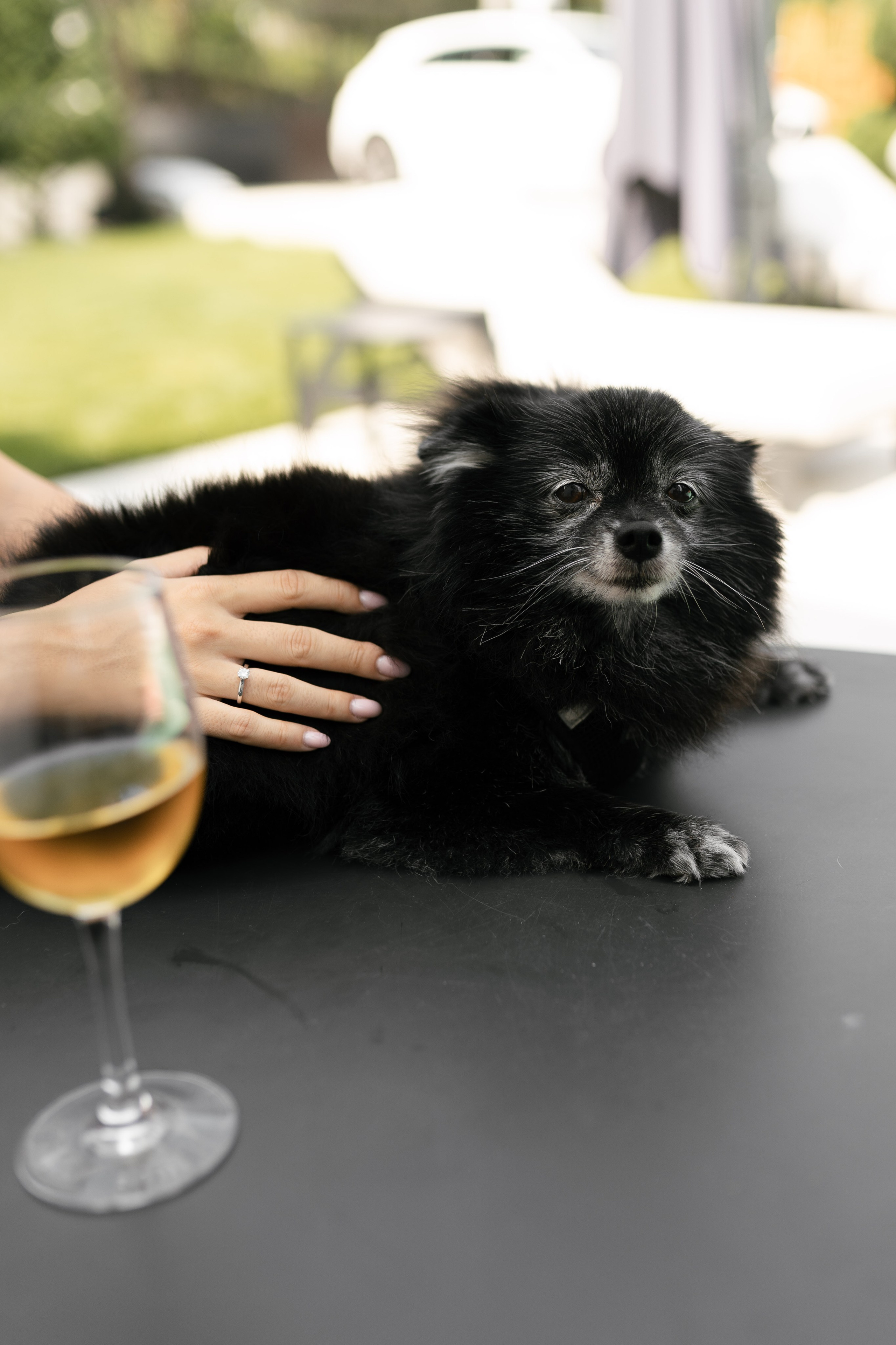 I&D | A Fortress Fairytale. Black Sheep Produkcija| Wedding Photography and Wedding Films, based in Kragujevac, Europe / Fotograf i videograf, Kragujevac, Srbija