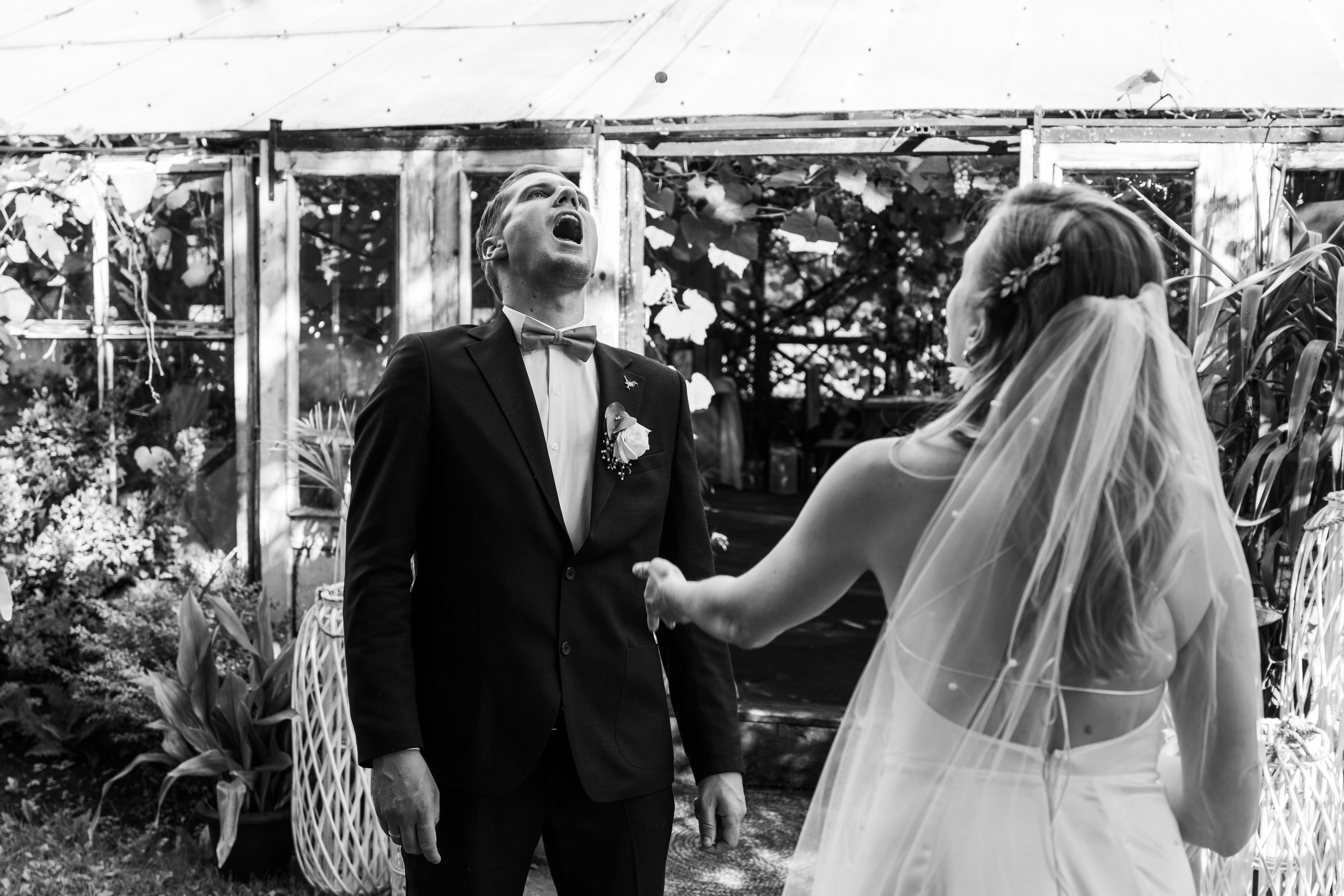 Kāzas Siltumnīcā. ROLFS VENDIŅŠ - KĀZU FOTOGRĀFS | Rīgā un visā Latvijā