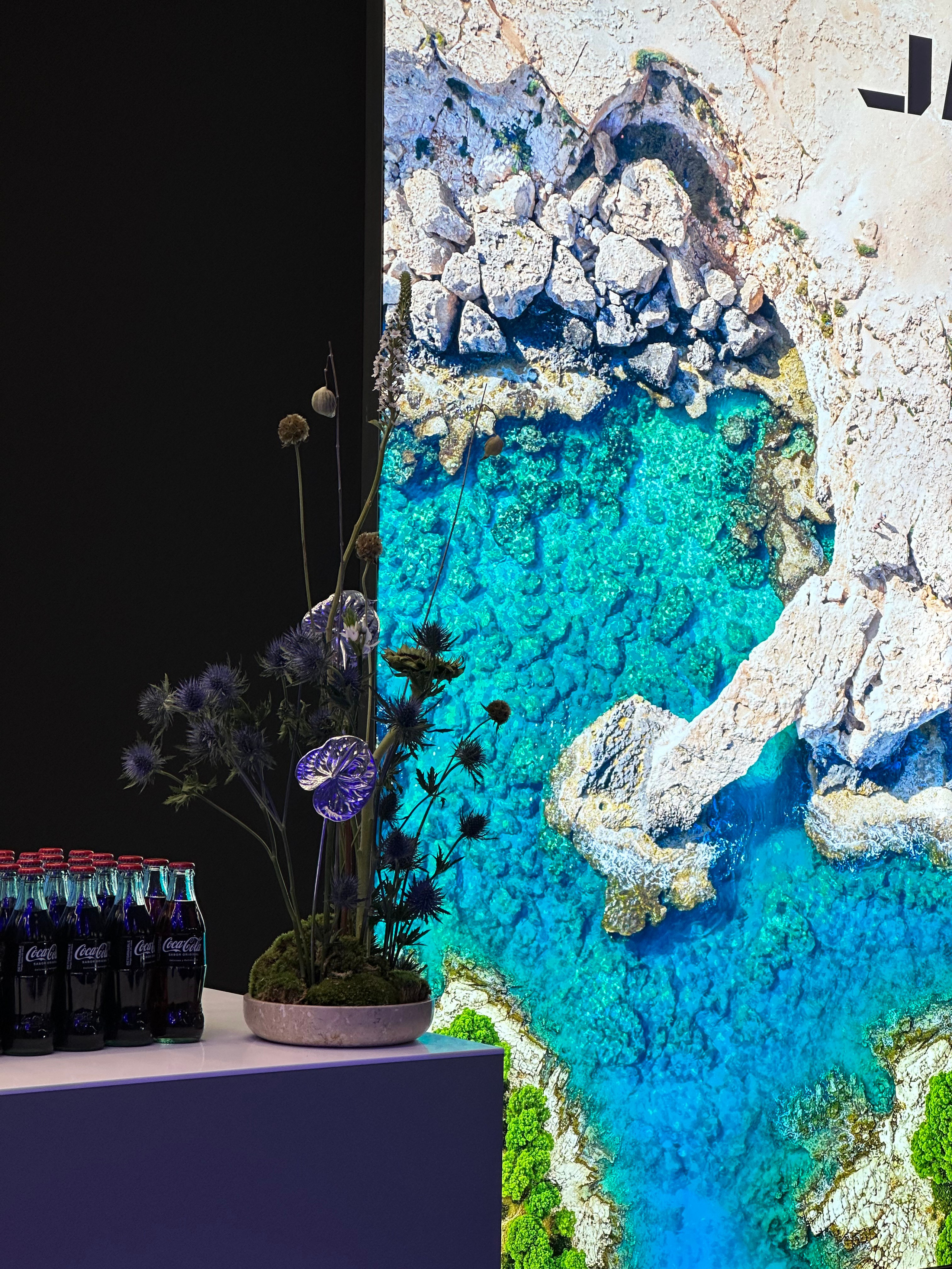 Premiere Day- Omoda Jaecoo