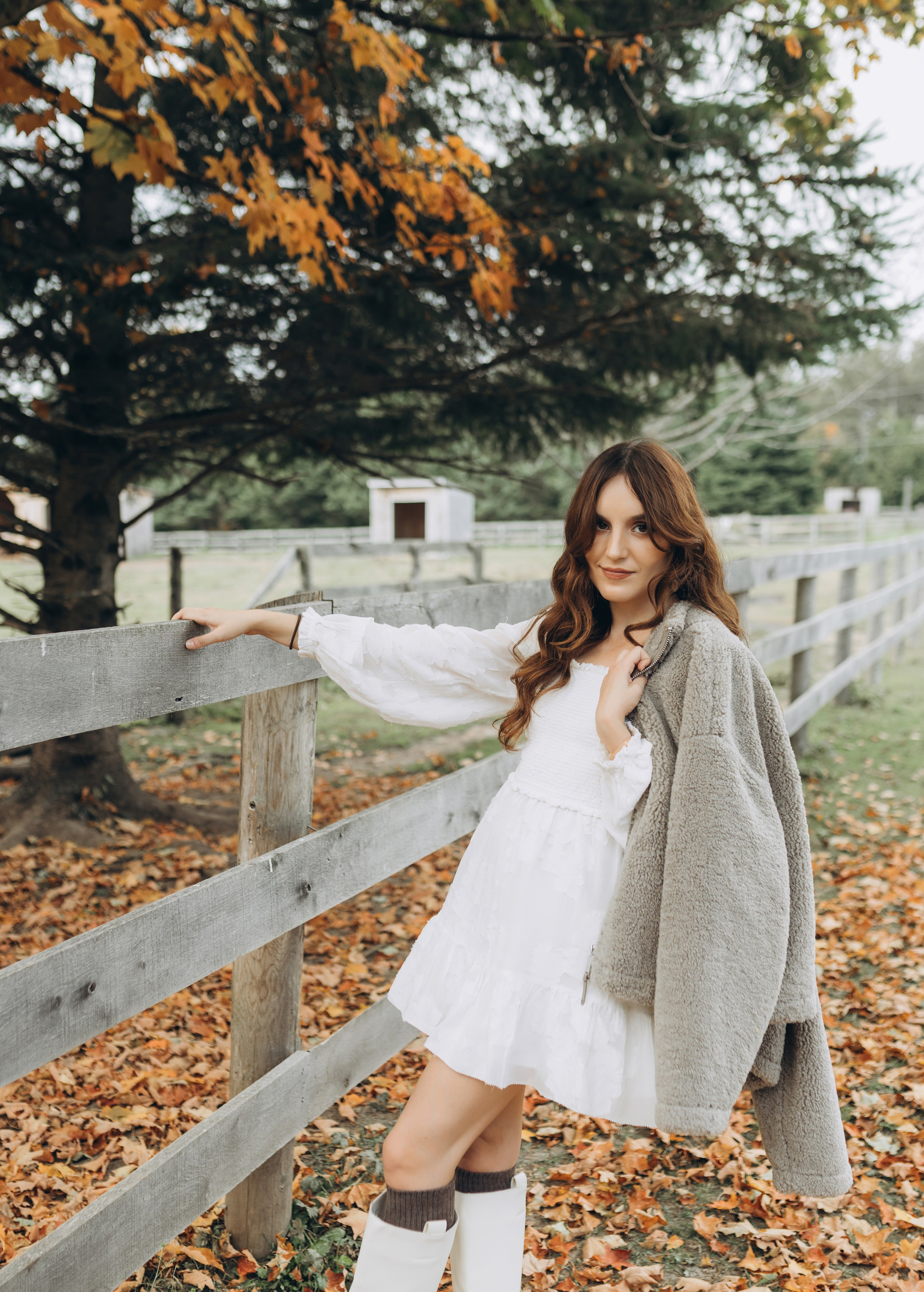 Alpacas Farm. Chernenko.photography