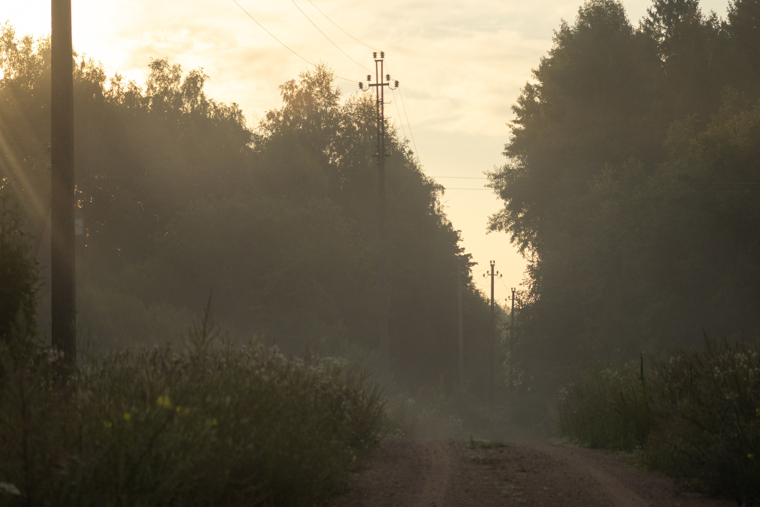 Landscape. Portrait and Street photographer in Vilnius Edgar Shaipunas