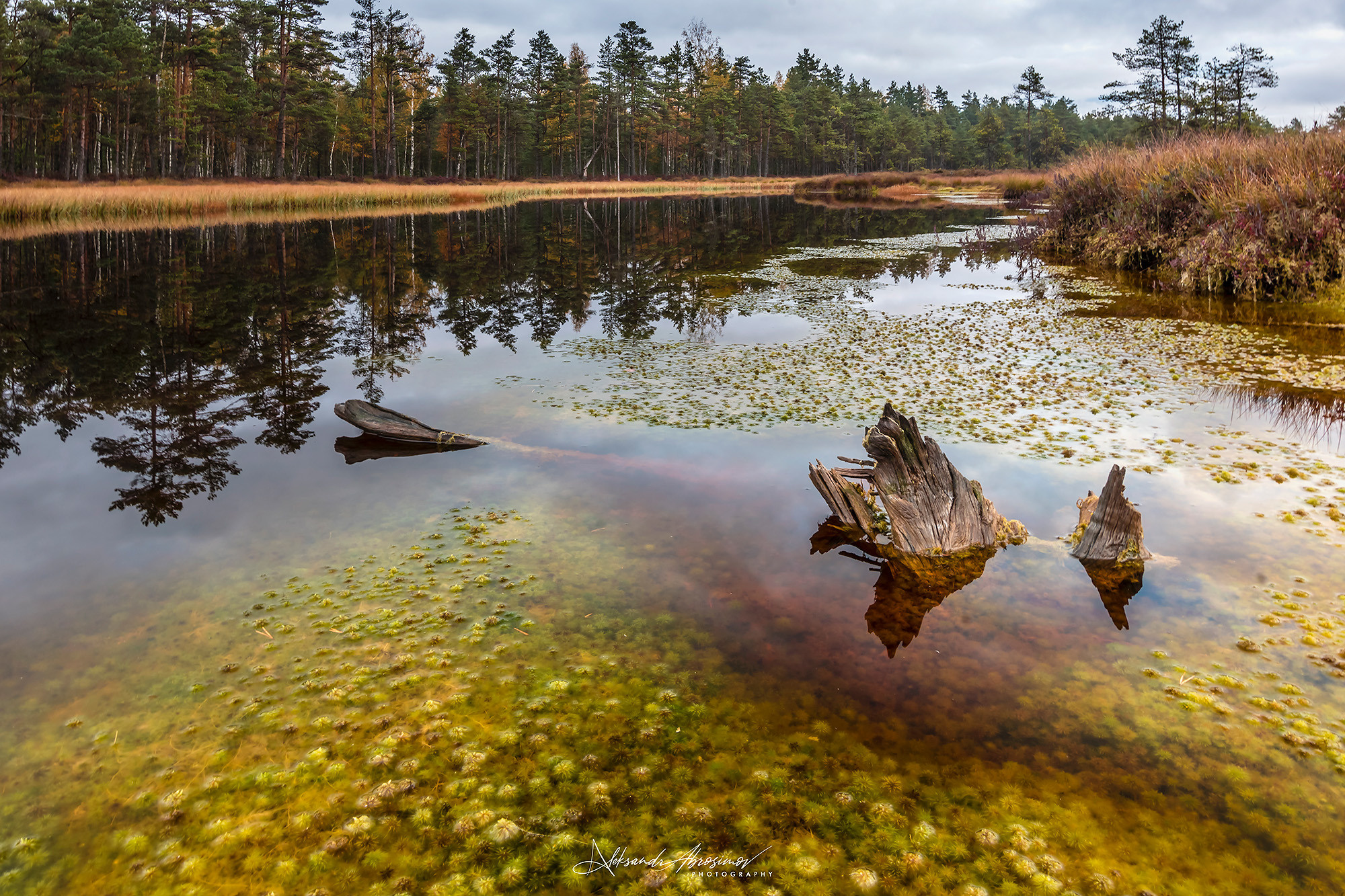 Landscapes. Пейзажи. Aleksandr Abrosimov Photography