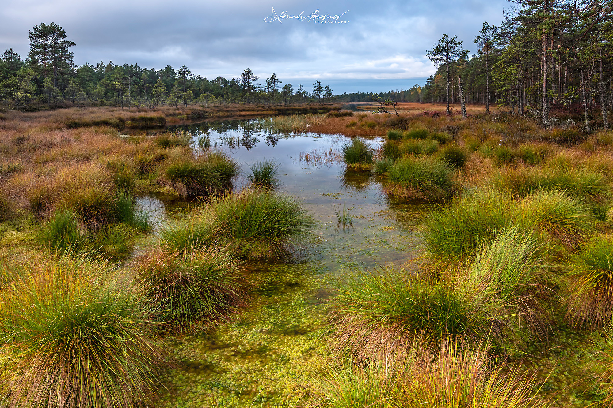 Landscapes. Пейзажи. Aleksandr Abrosimov Photography