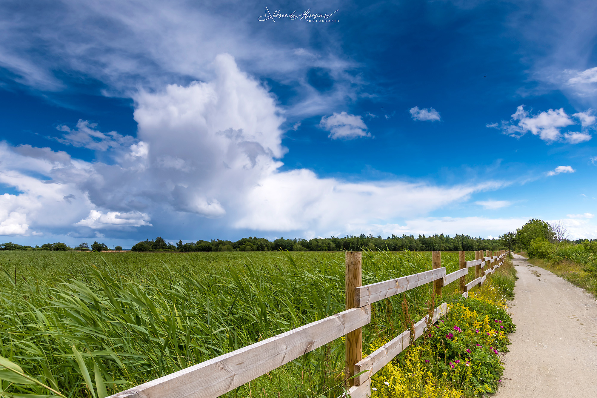 Landscapes. Пейзажи. Aleksandr Abrosimov Photography