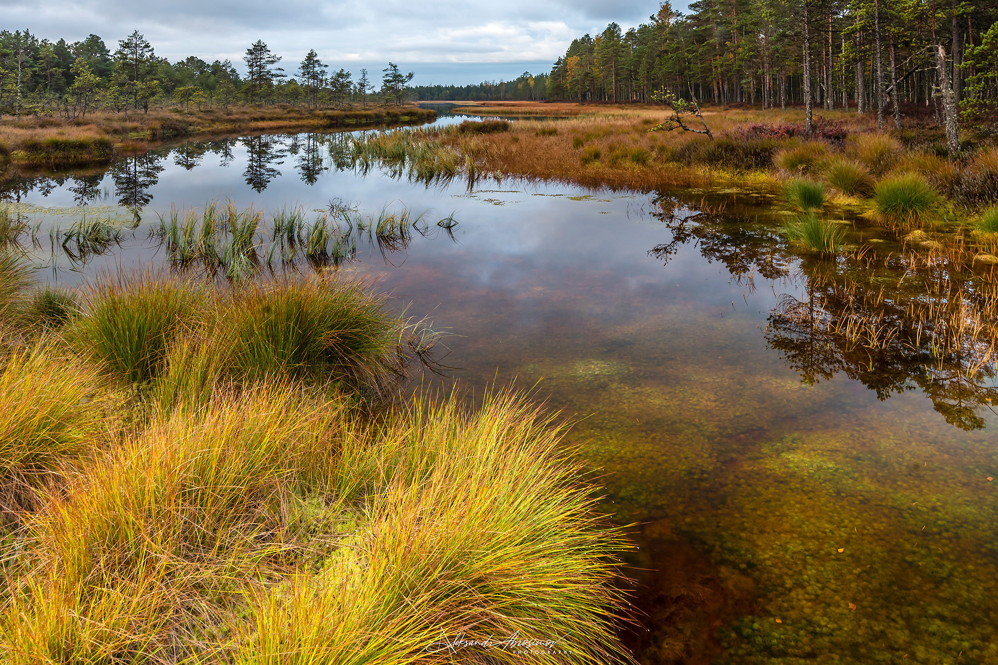 Landscapes. Пейзажи. Aleksandr Abrosimov Photography