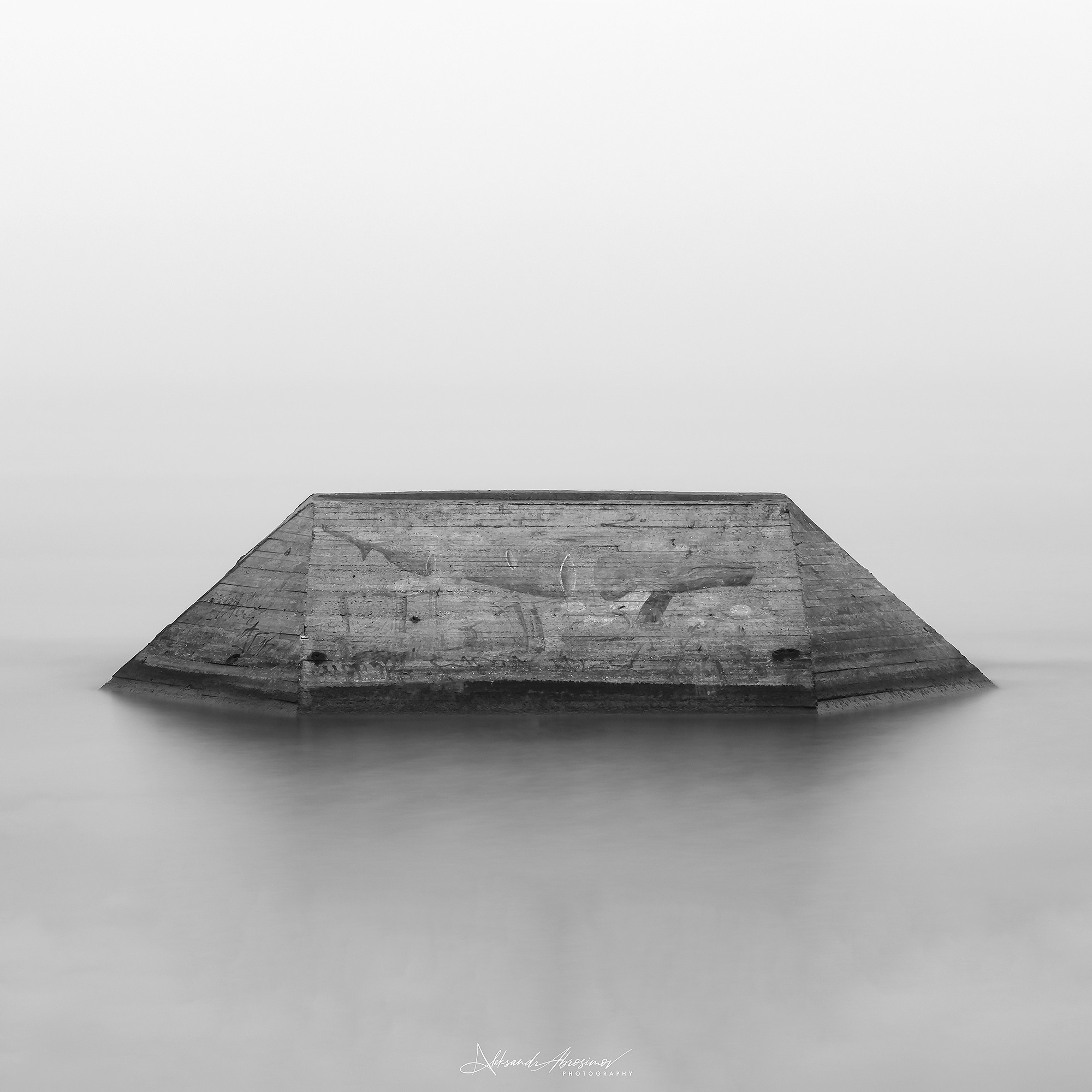 Art. Aleksandr Abrosimov Photography