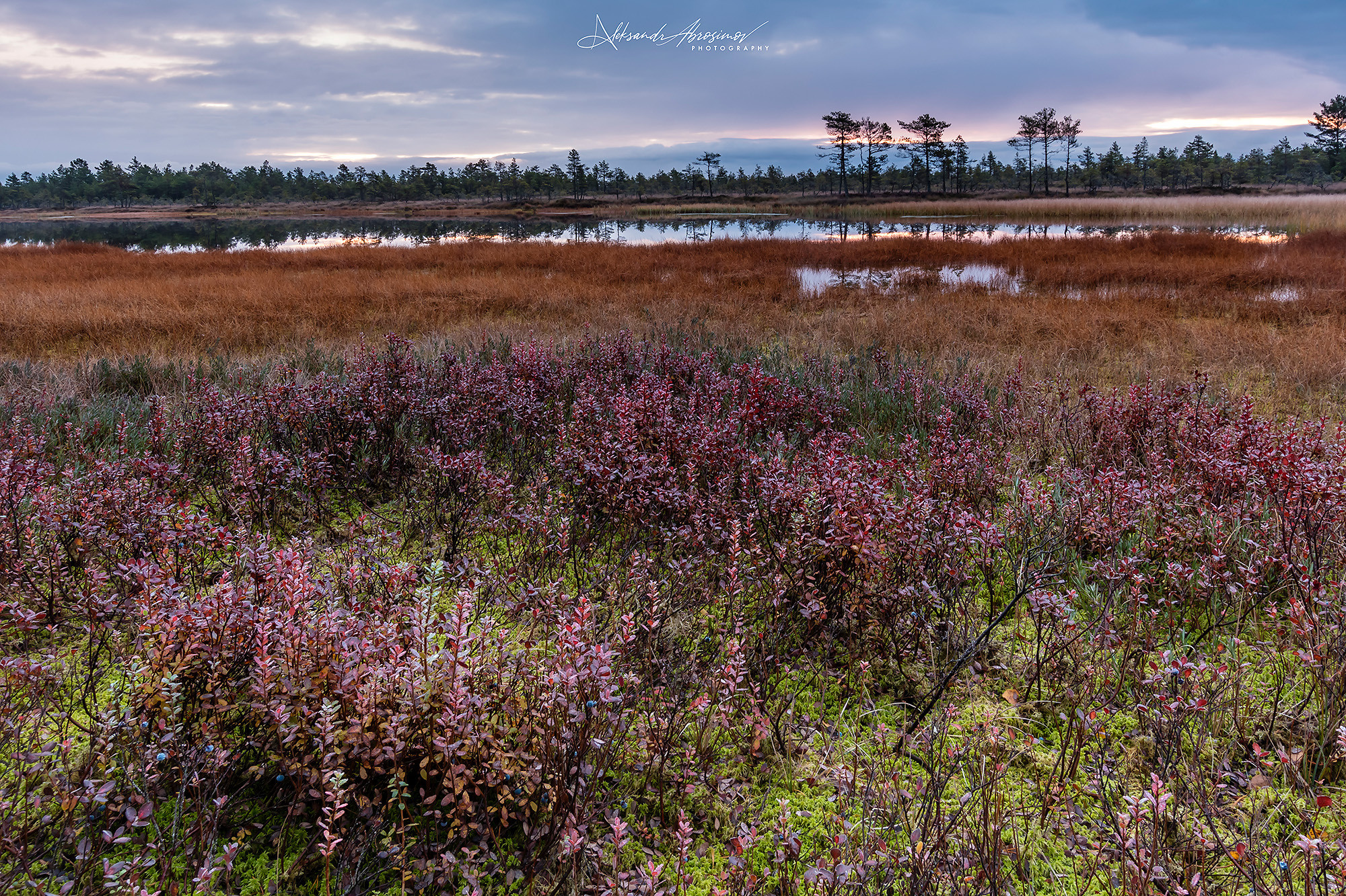 Landscapes. Пейзажи. Aleksandr Abrosimov Photography