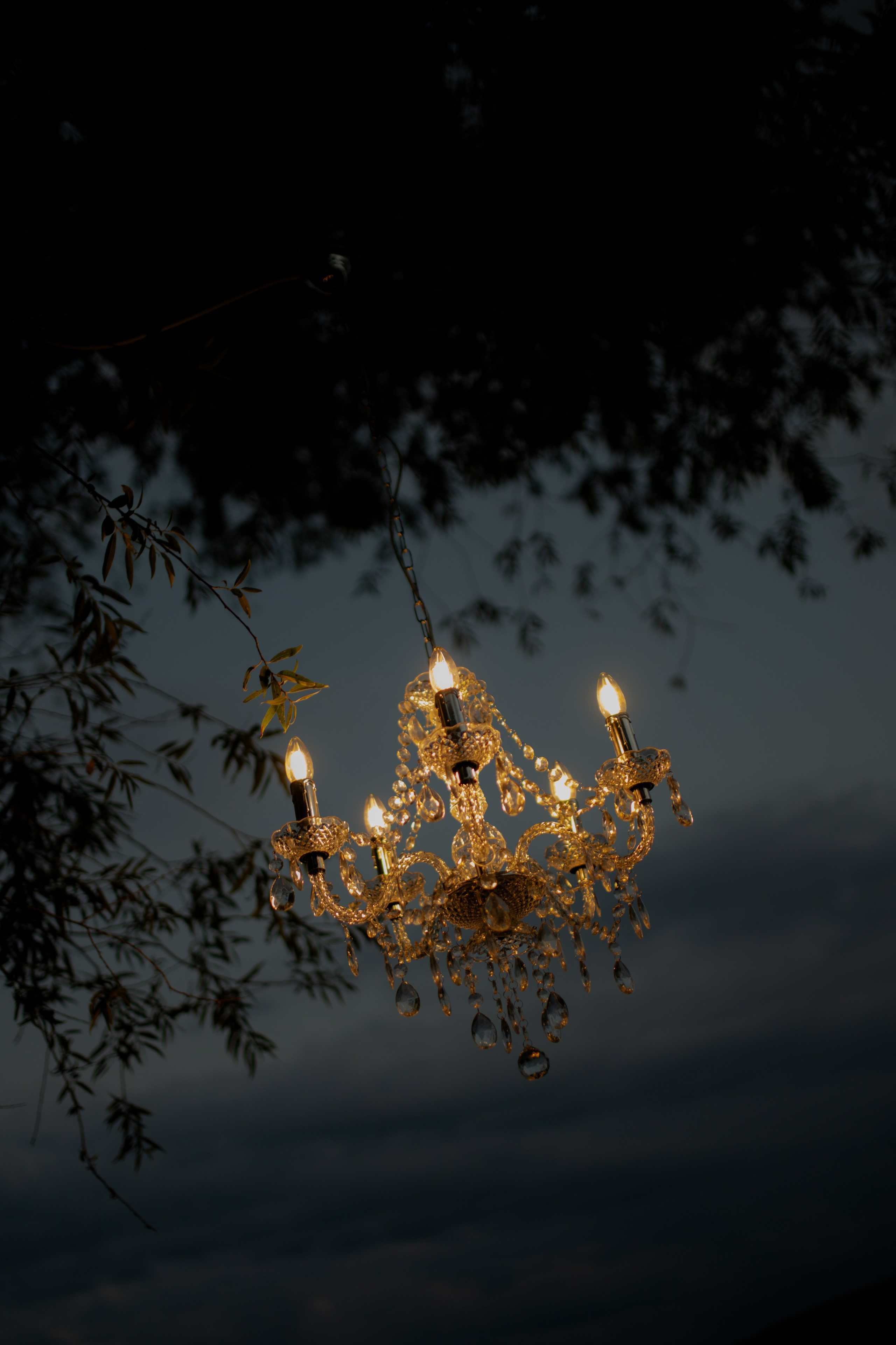 Tell Your Story (Styled shoot). Adrian Visovan - Fotograf Iasi