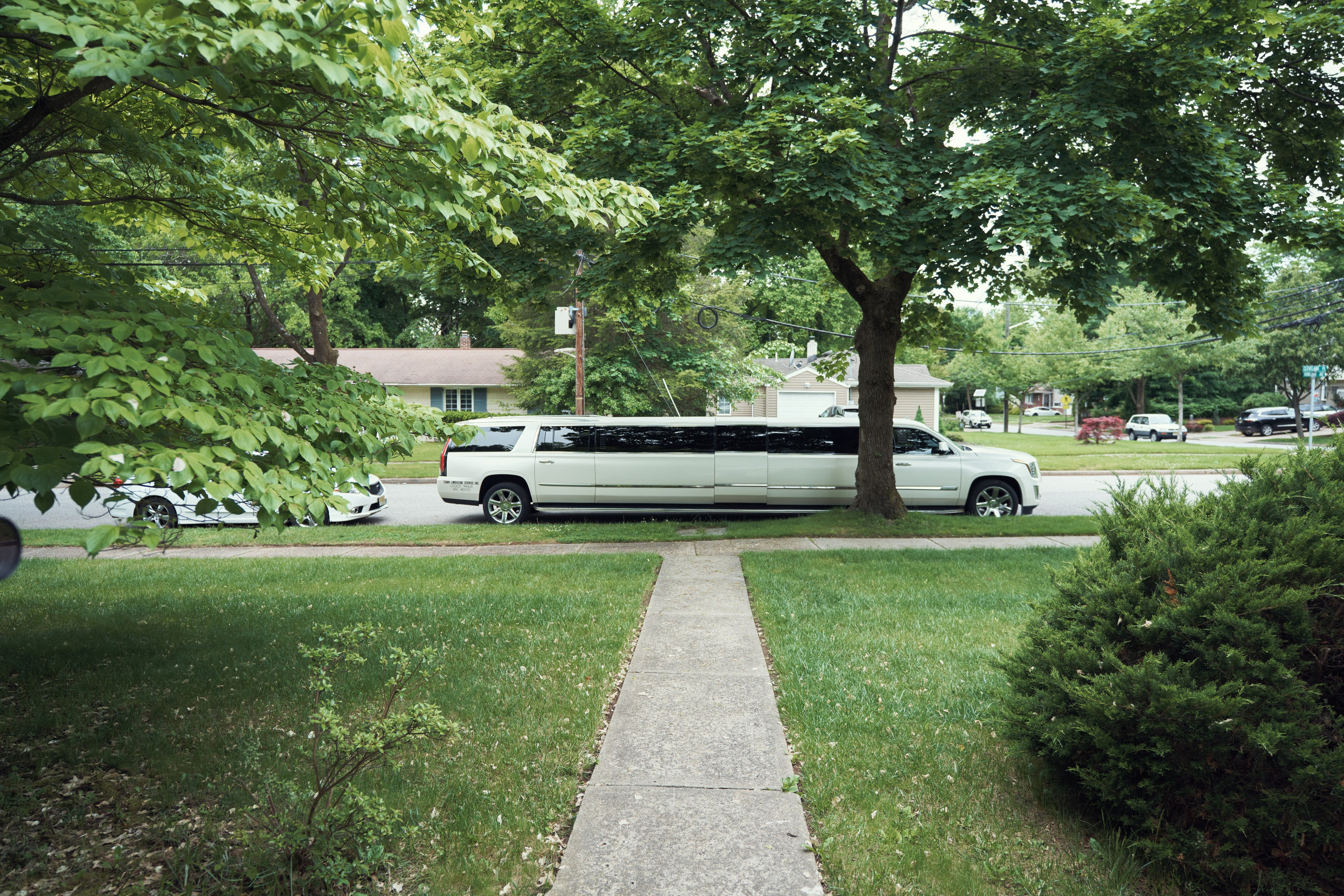 Colleen&Mat, North Jersey. Alex Pedan photography