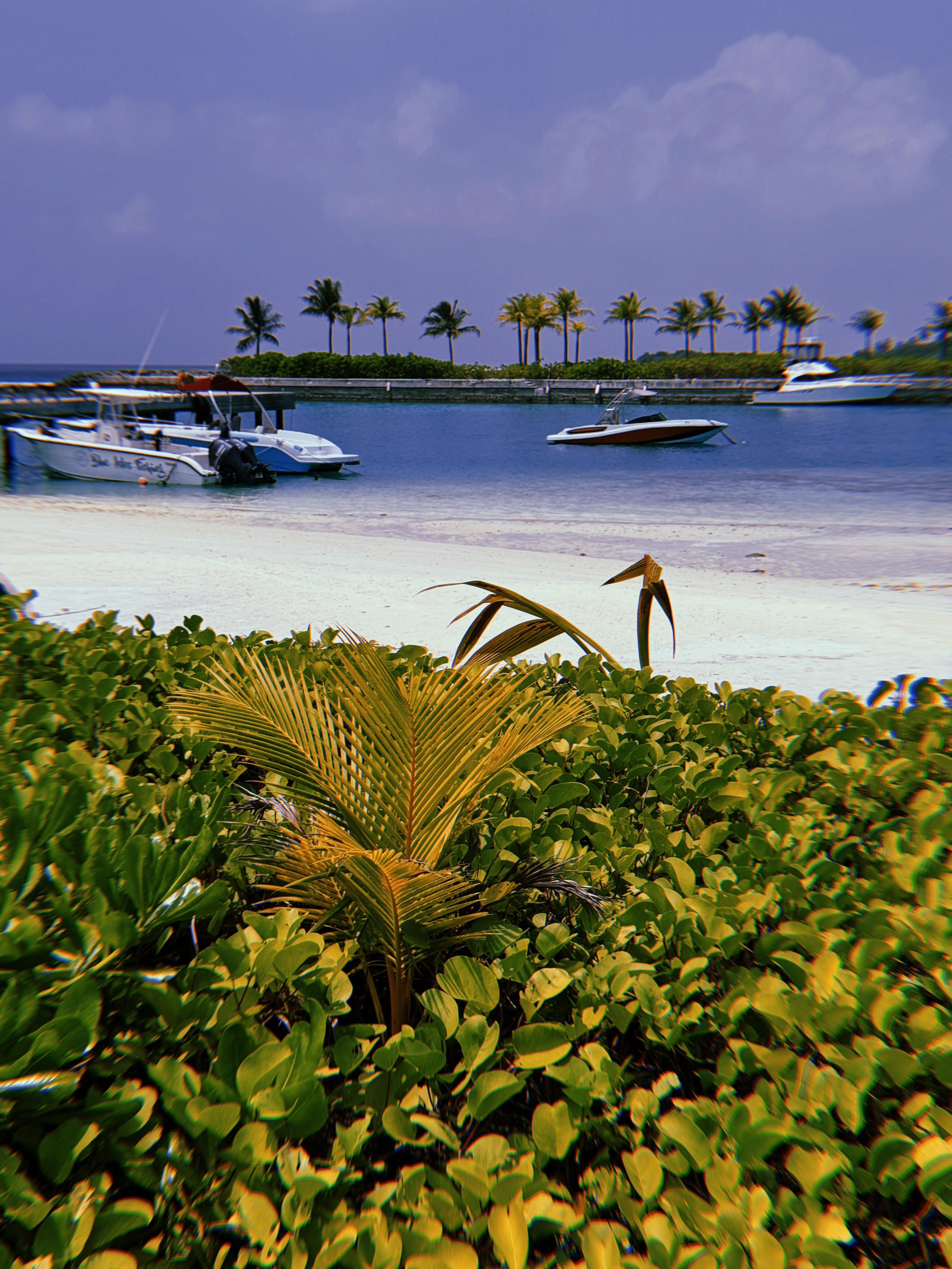 Maldives, Kuda Villingili. BNW Around Photography