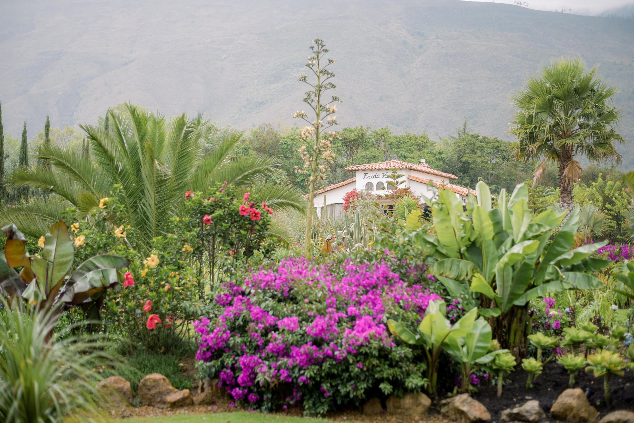 Fotografía y video de bodas en villa de Leyva - Colombia. Rafael Melo Weddings