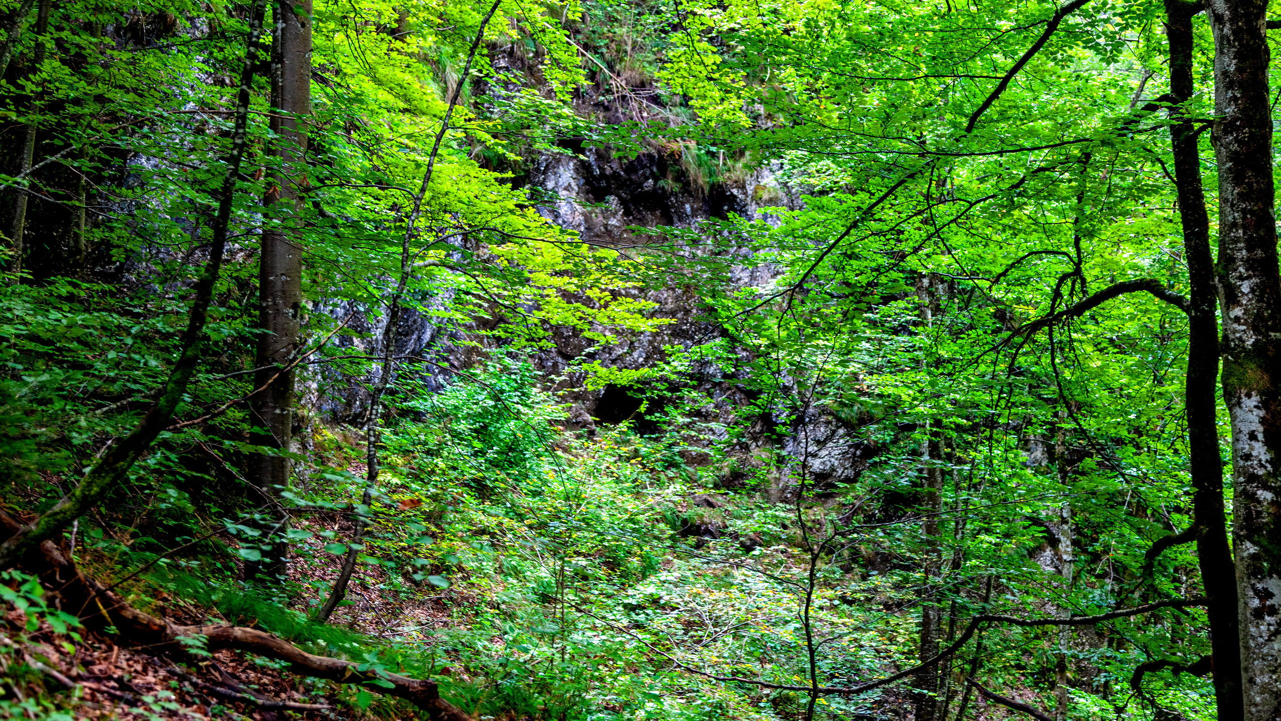 197.Ötscher Base Nature Park.Austria.21.8.2025. Путешествия в формате 360......