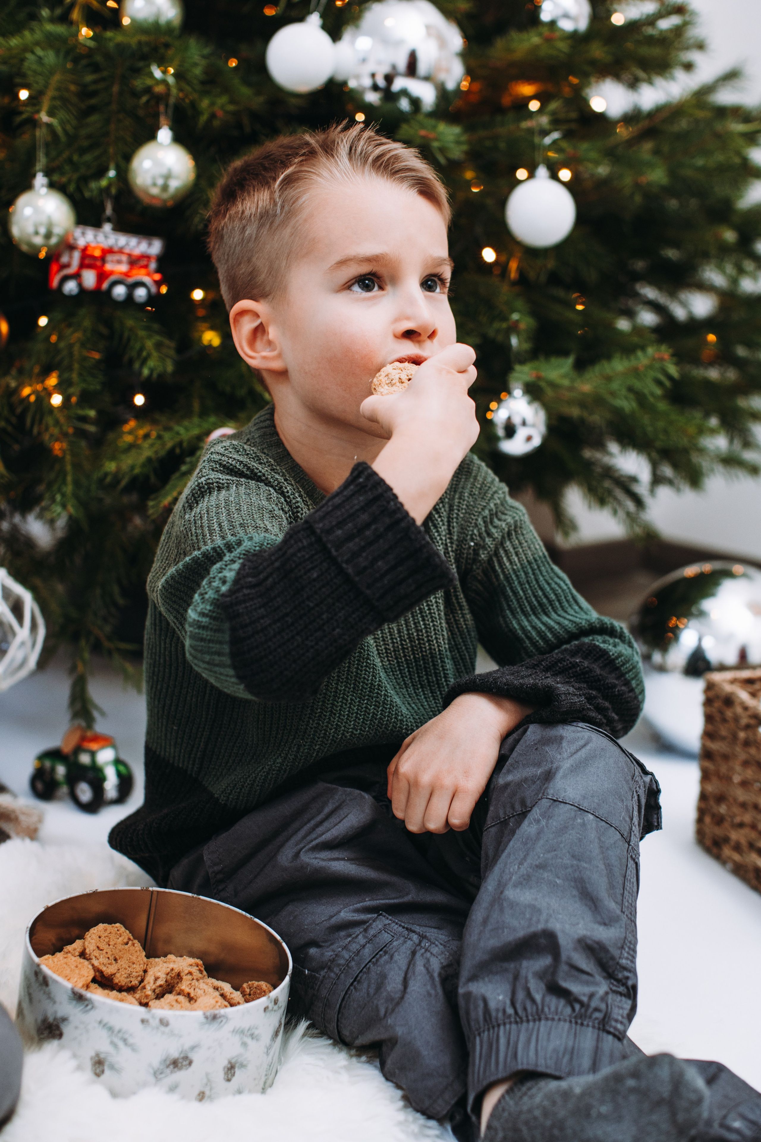 Weihnachtsshooting. Dienstleistungen