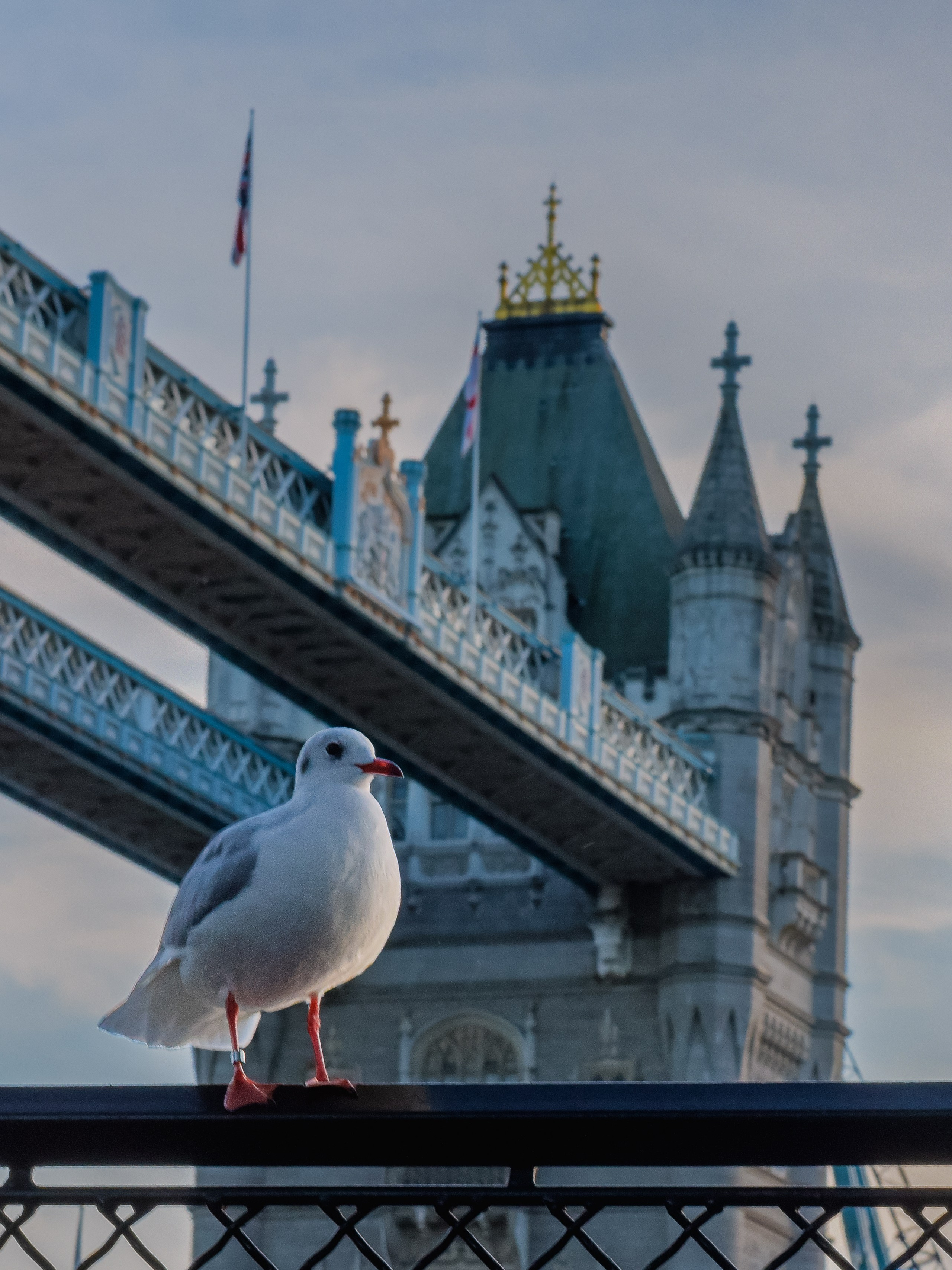 Cities. Expect Miracles Photography by Kate & Andrew