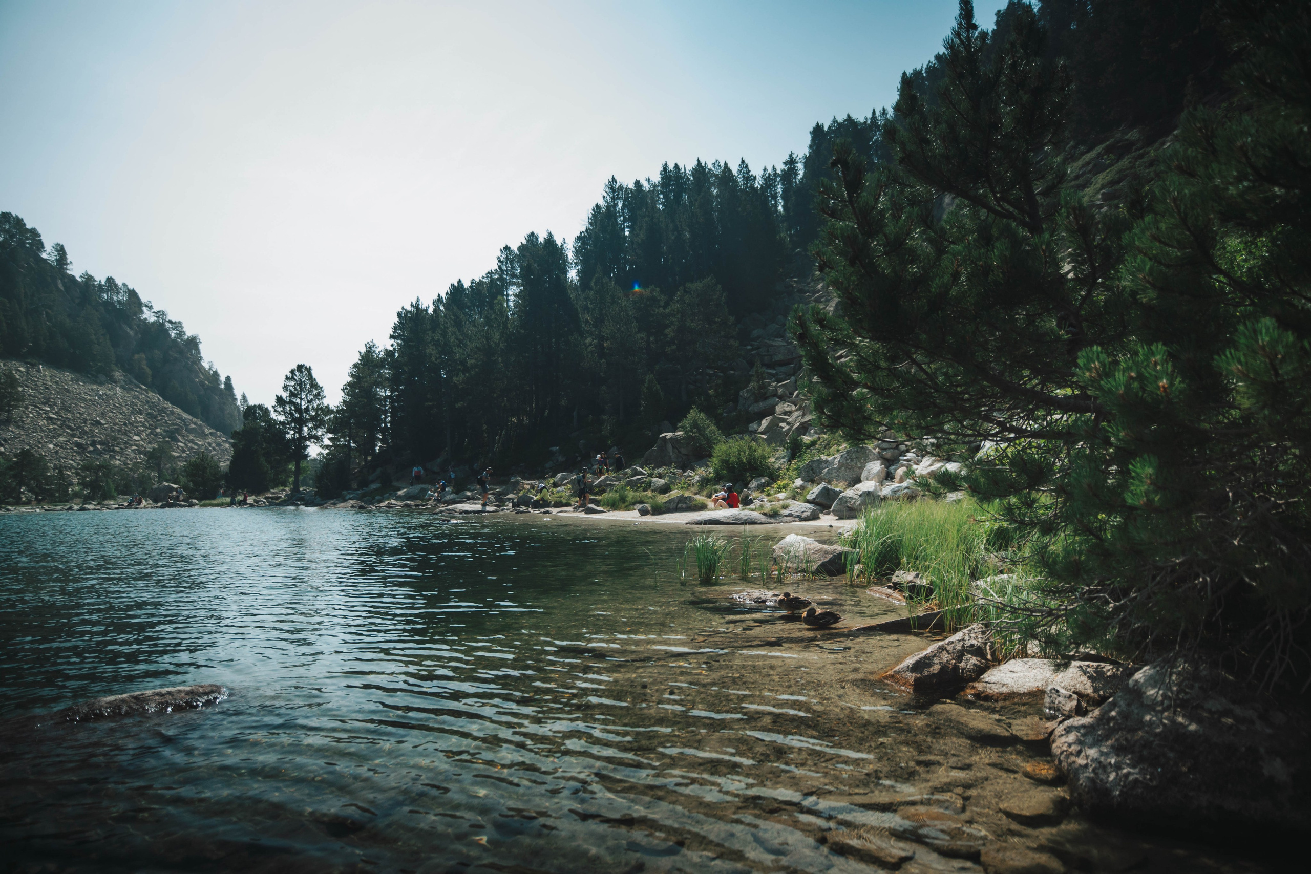 Parque Nacional de Aigüestortes y Estany de Sant Maurici. Alba del Norte Studio