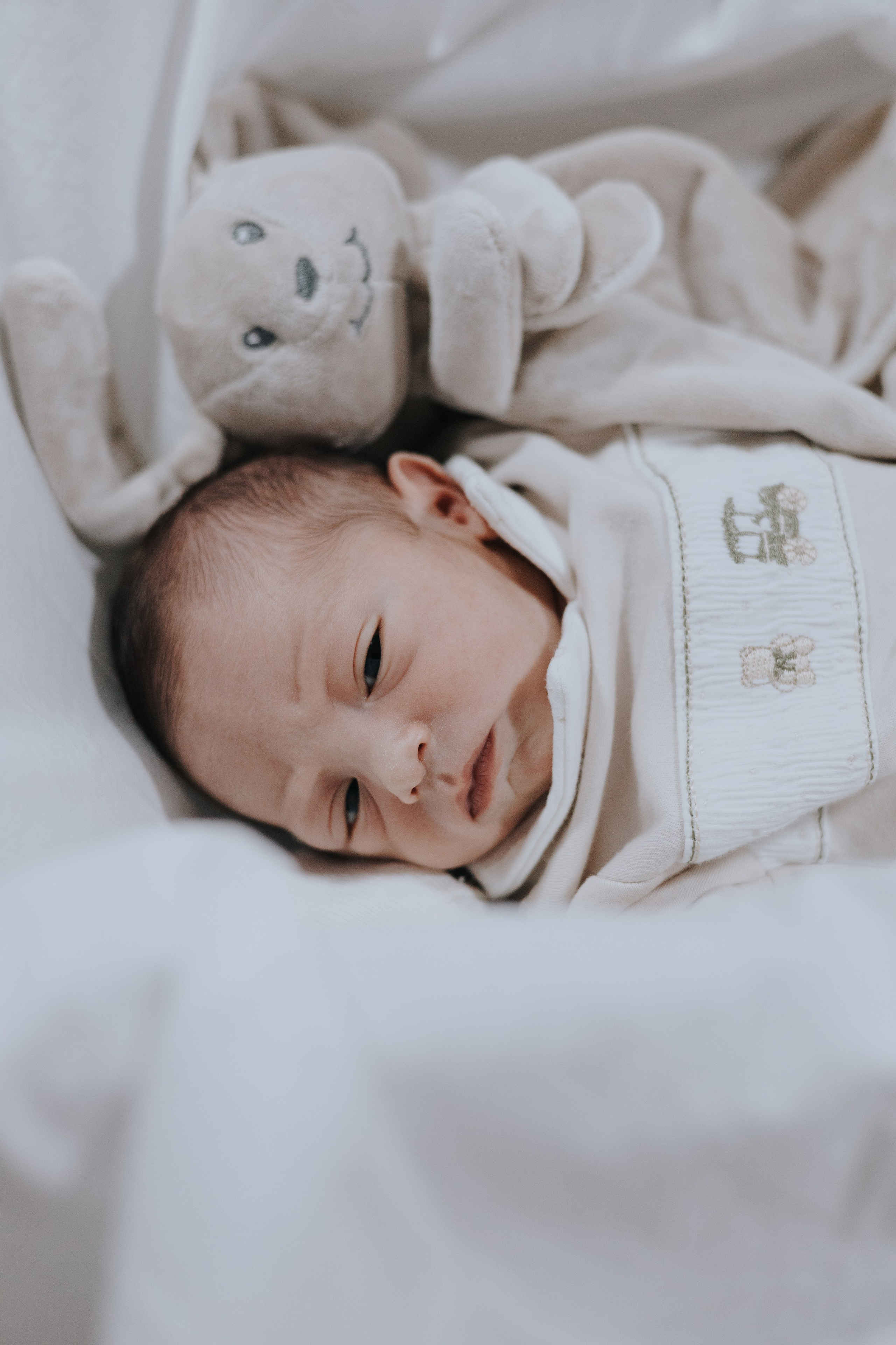 Bem vindo Arthur. Salvy fotografia