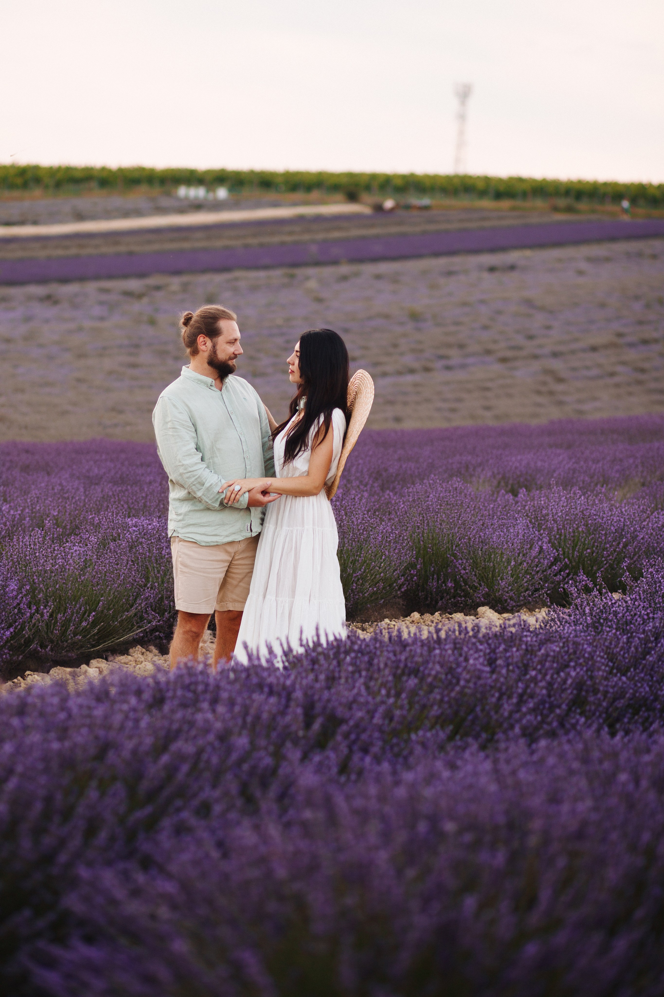 Lavender. Photographer in Prague for tourists