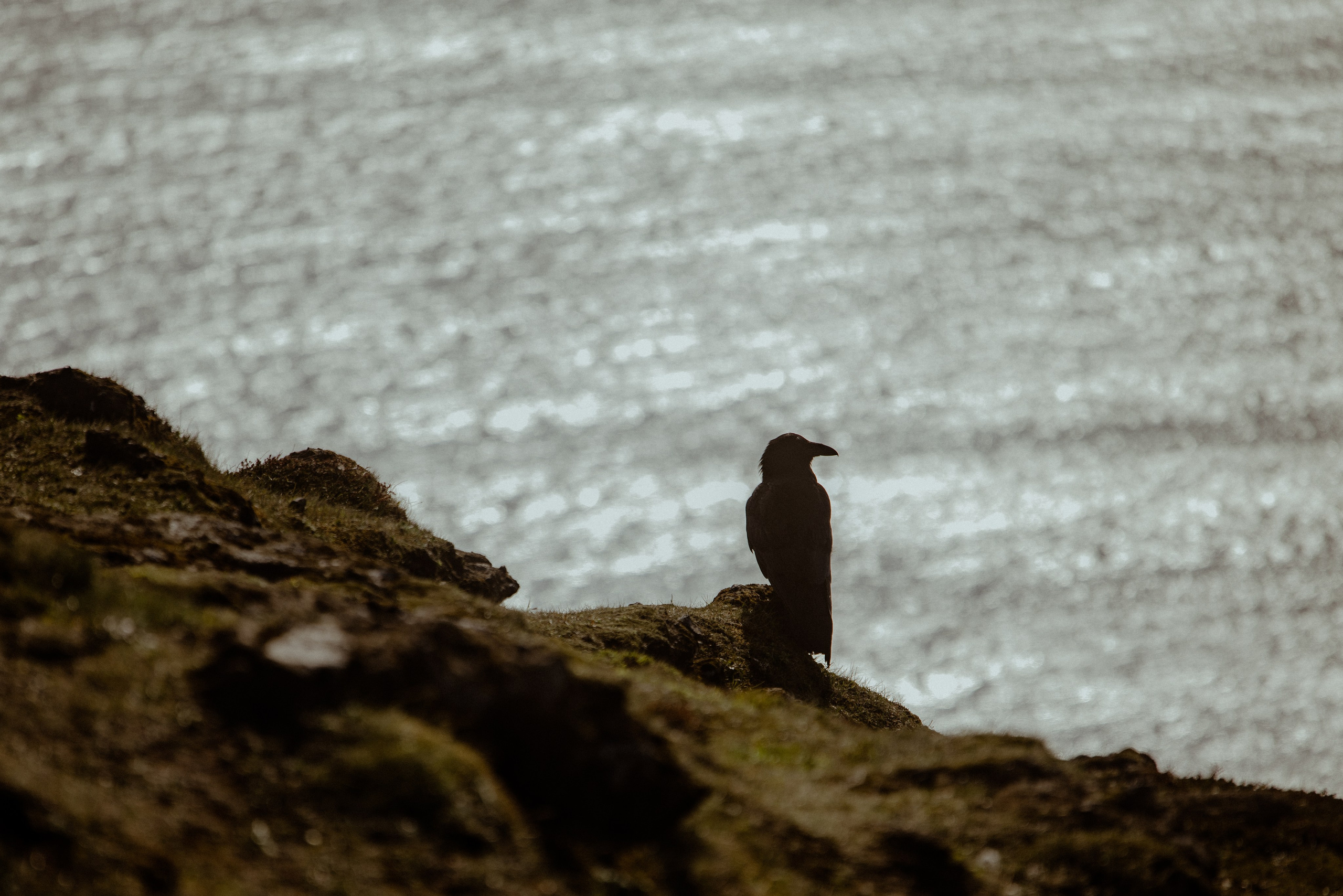 Iceland elopement at endless black sand beach. Iceland elopement photographer & videographer