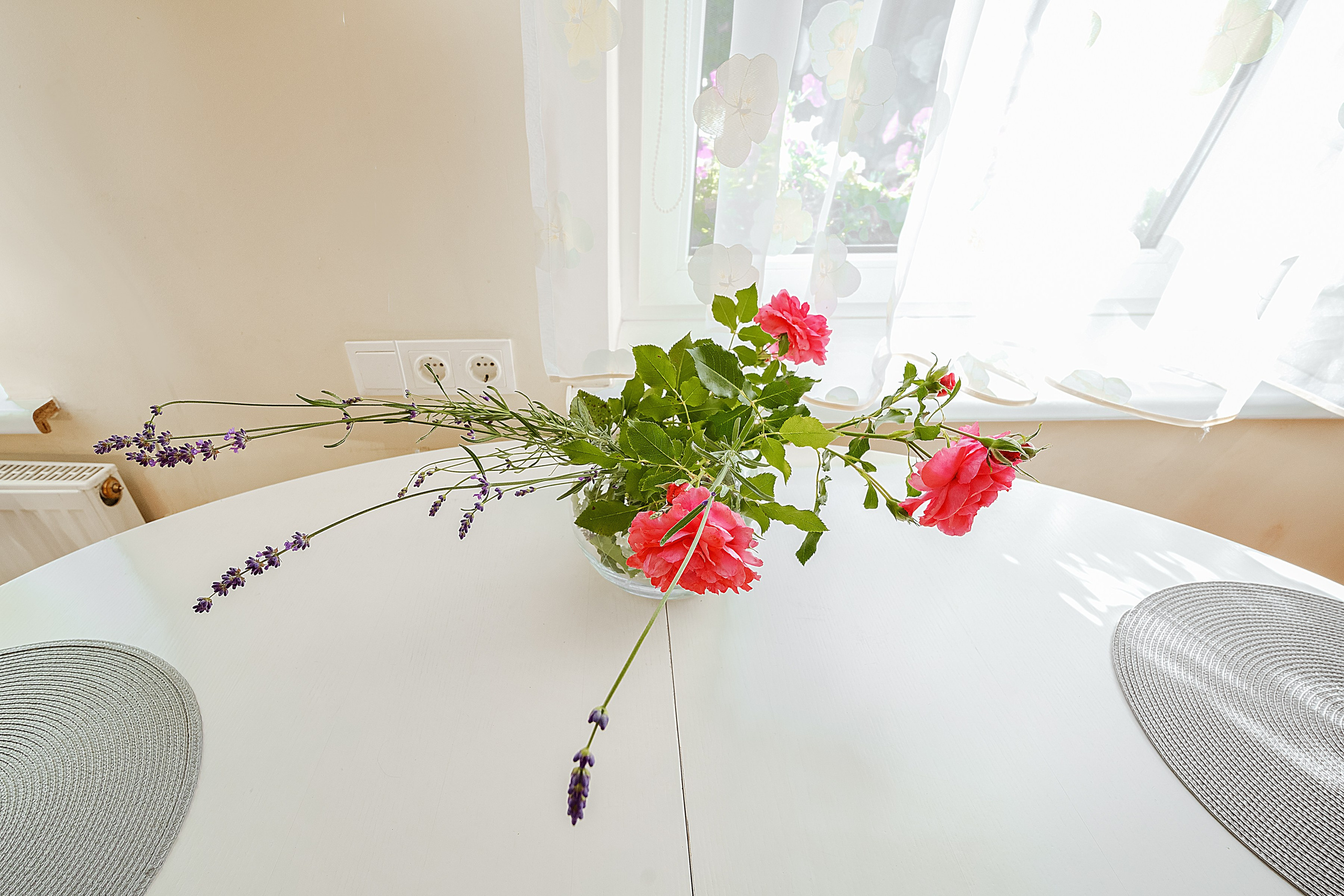 Sūduvių 16, Buivydiškės. Elina Sapiega fotografė Vilniuje