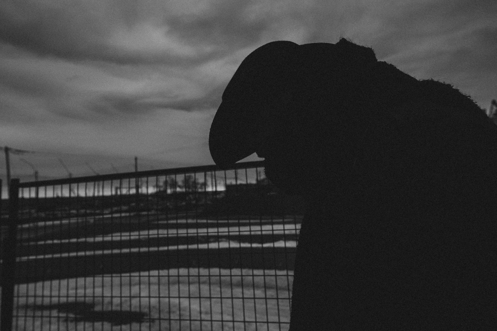 Art photo project. Madhurina photography