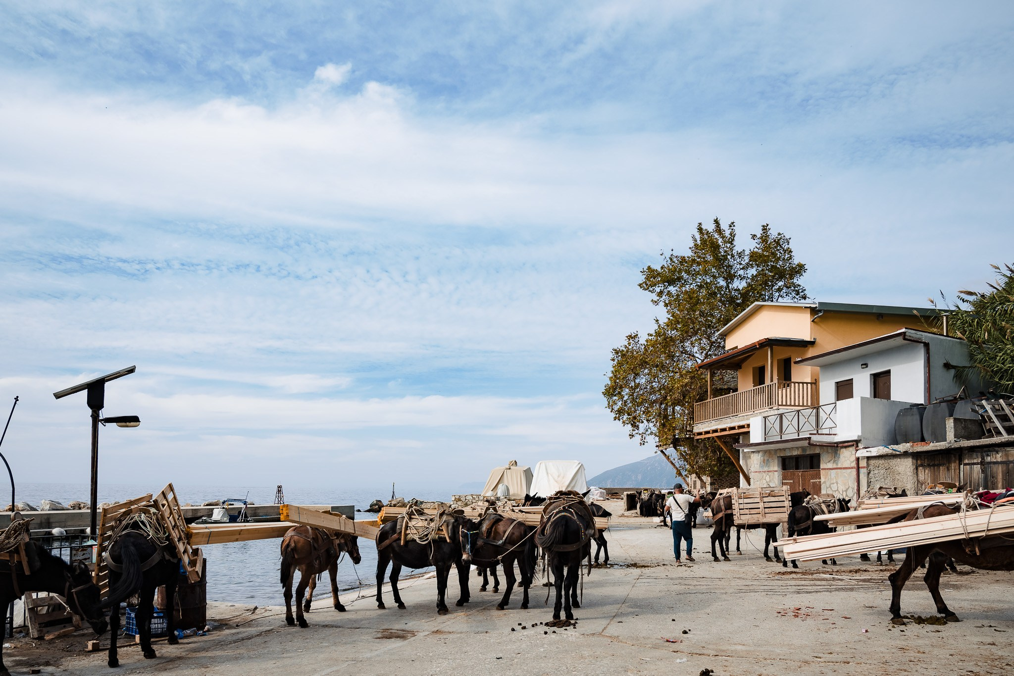 Pilgrim. Photographe de mariage région de Liège Stefan Bogdan