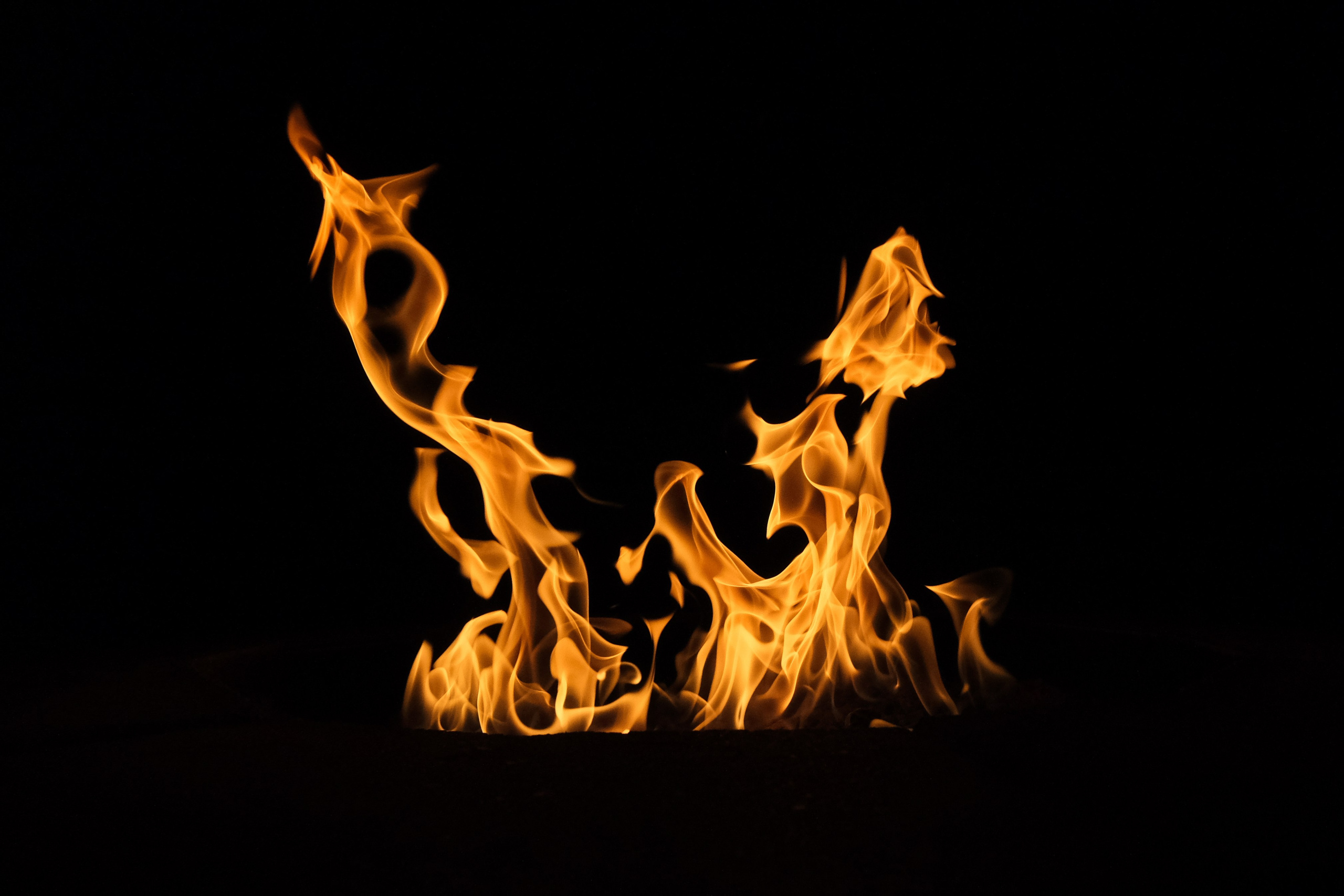 VATRA. Reportage concert portrait photography in the San Francisco Bay Area