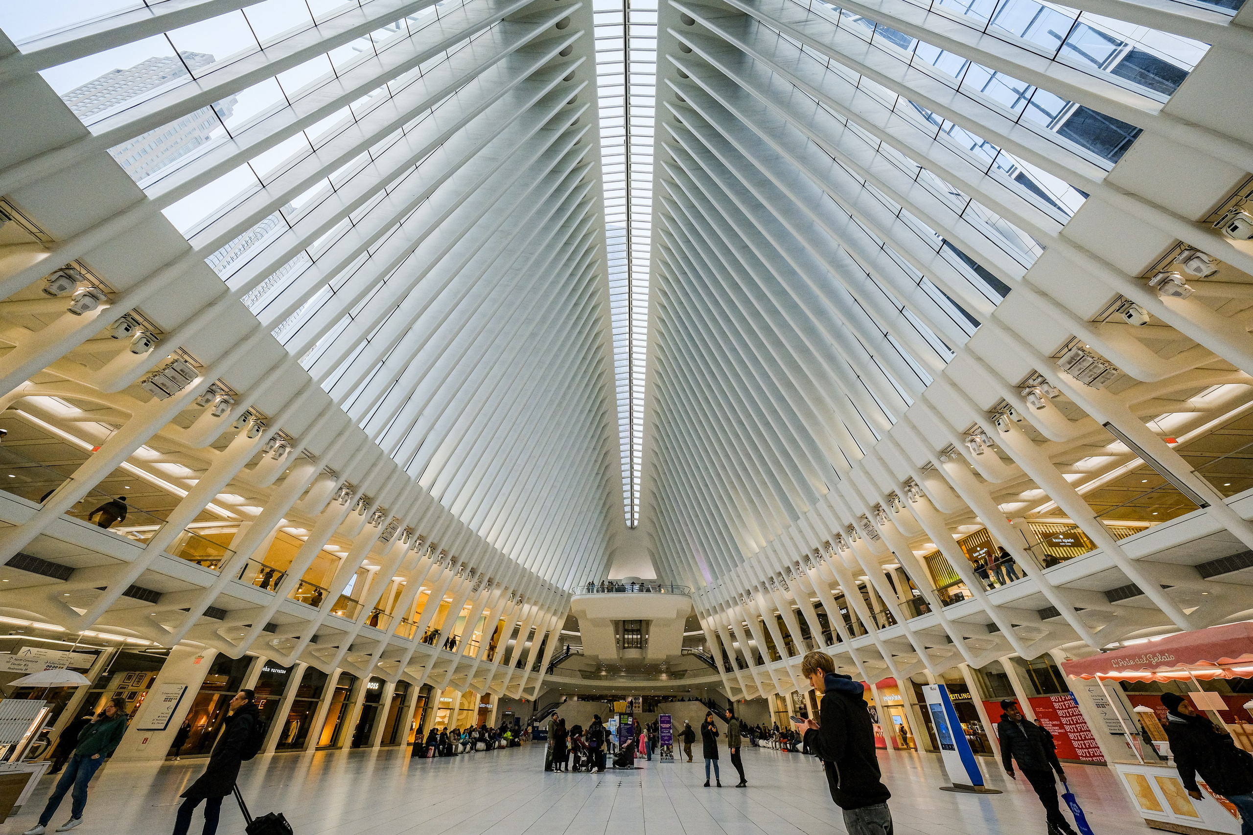 NEW YORK / 2025. Reportage concert portrait photography in the San Francisco Bay Area