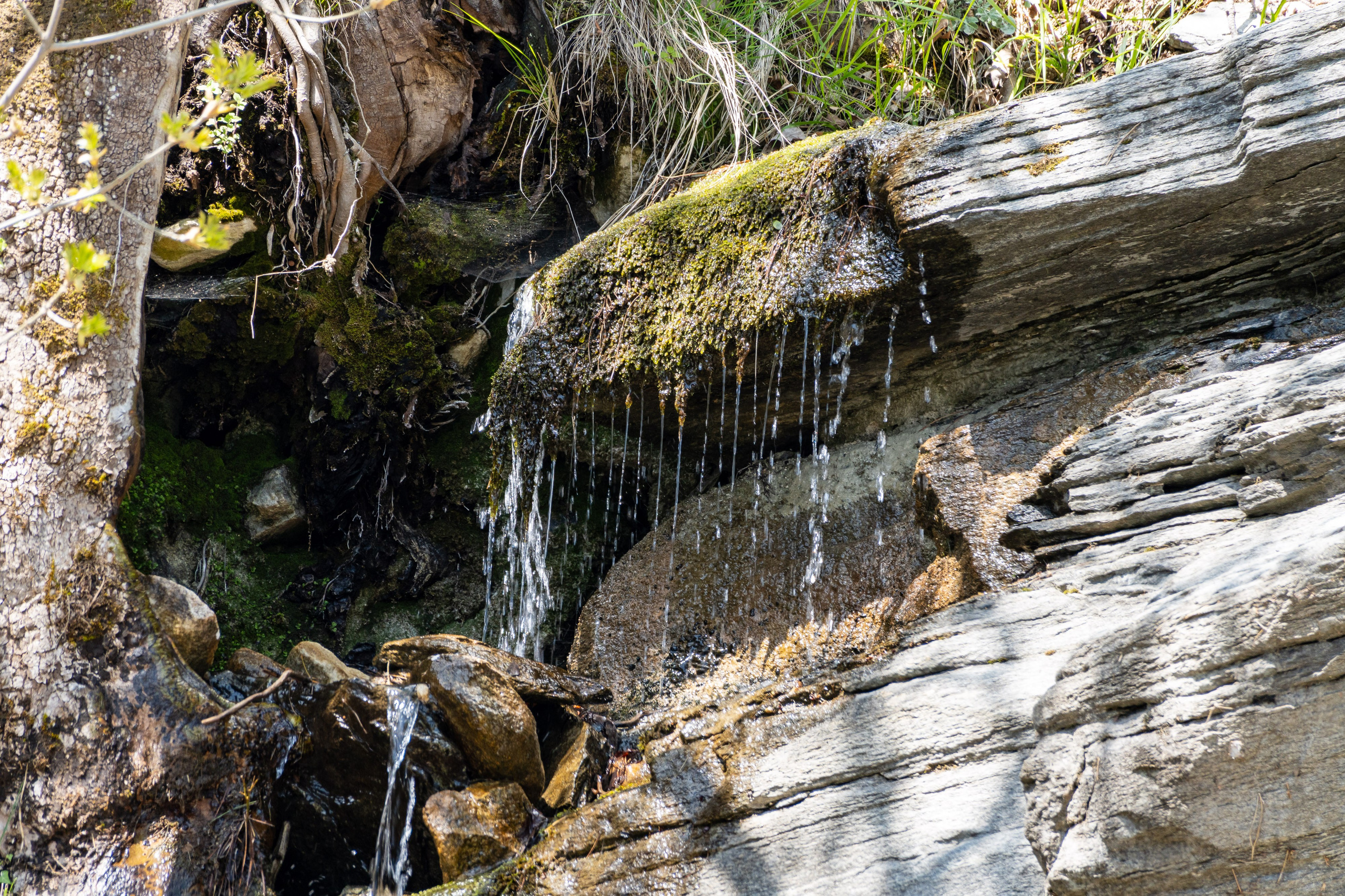 Thasos 2025. Fotografiideplacere.net