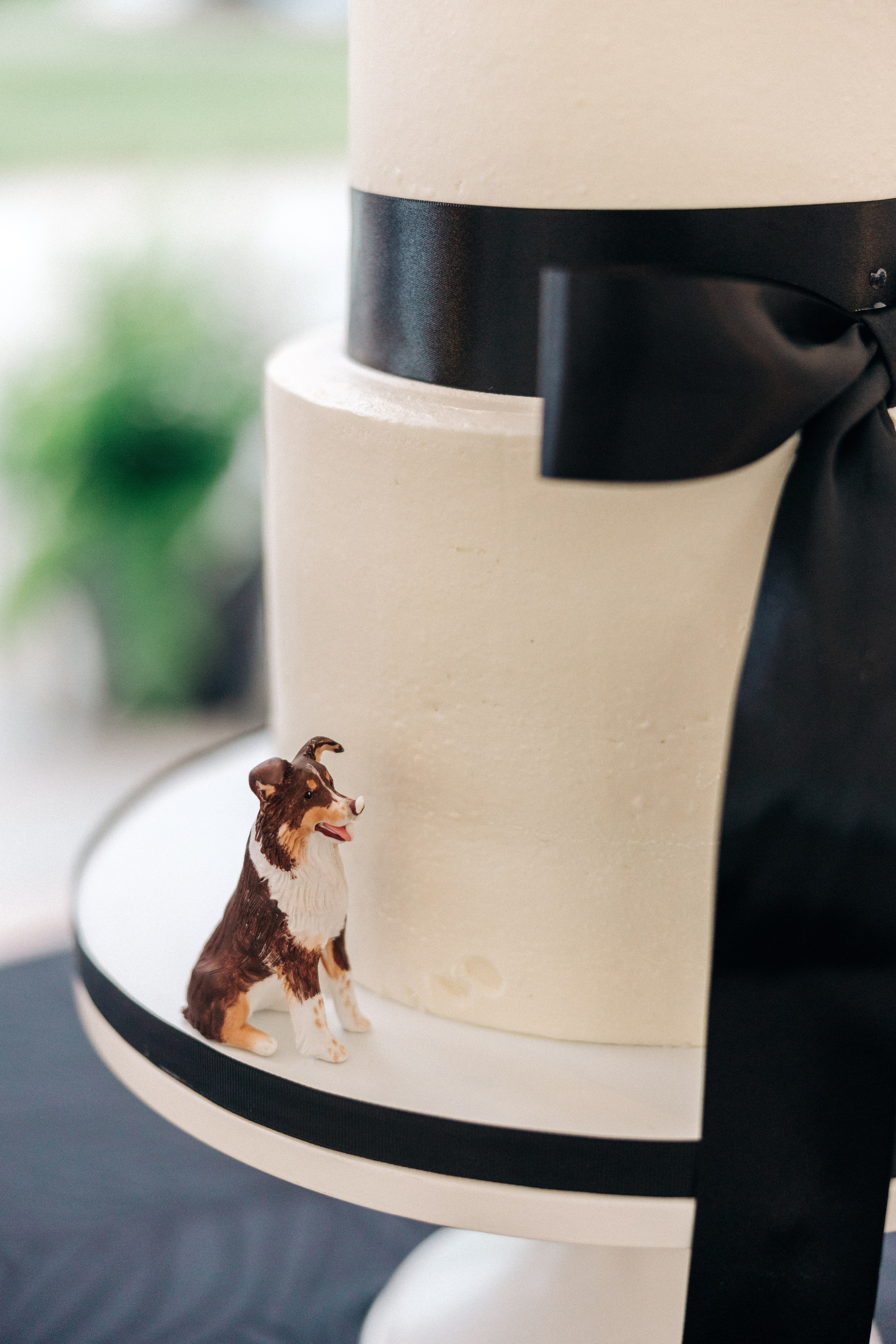 Wedding Julia&Aaron. Sara Eulalia | Virginia Photographer