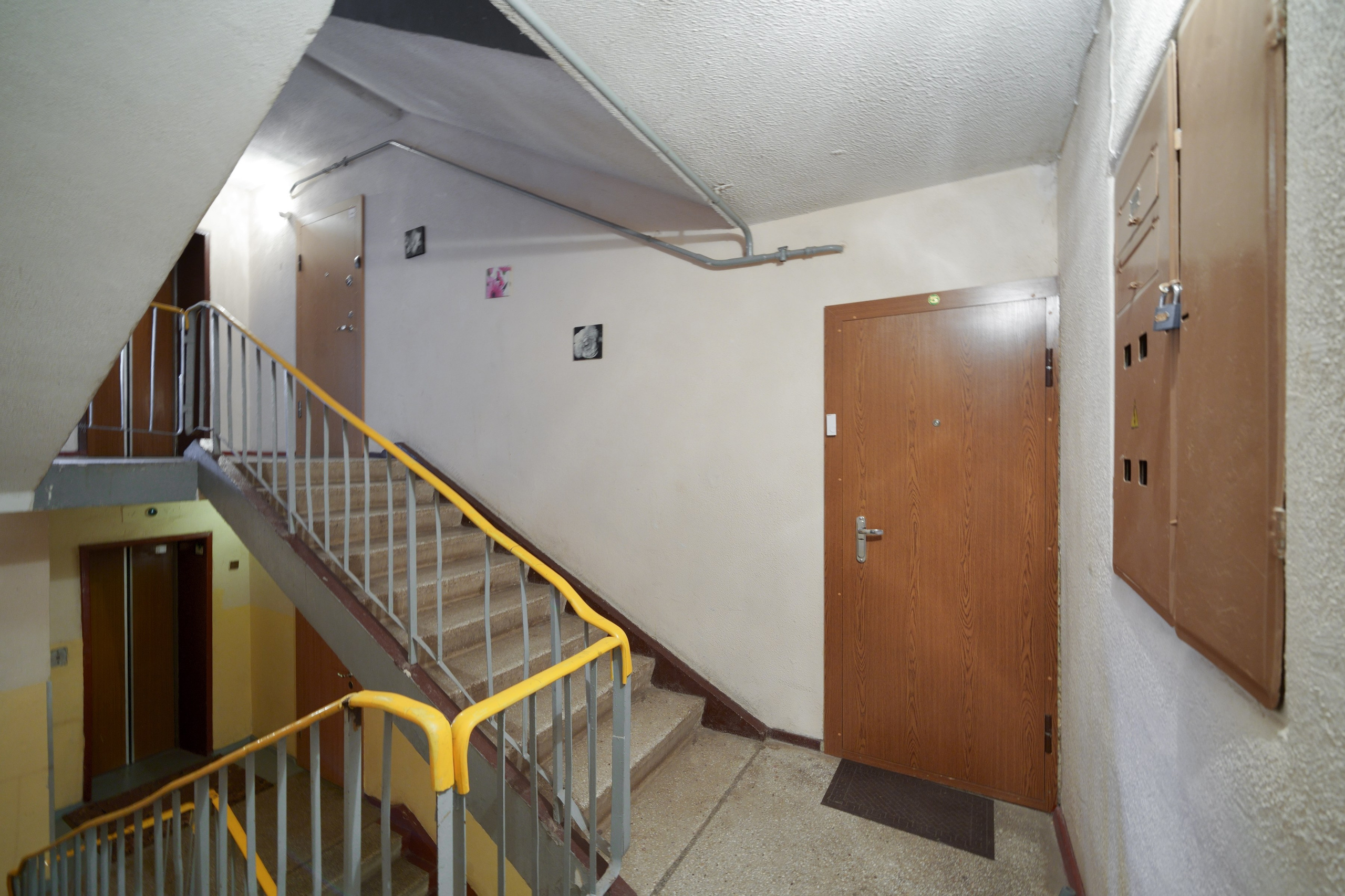 Linksmuoji g.49. Elina Sapiega fotografė Vilniuje