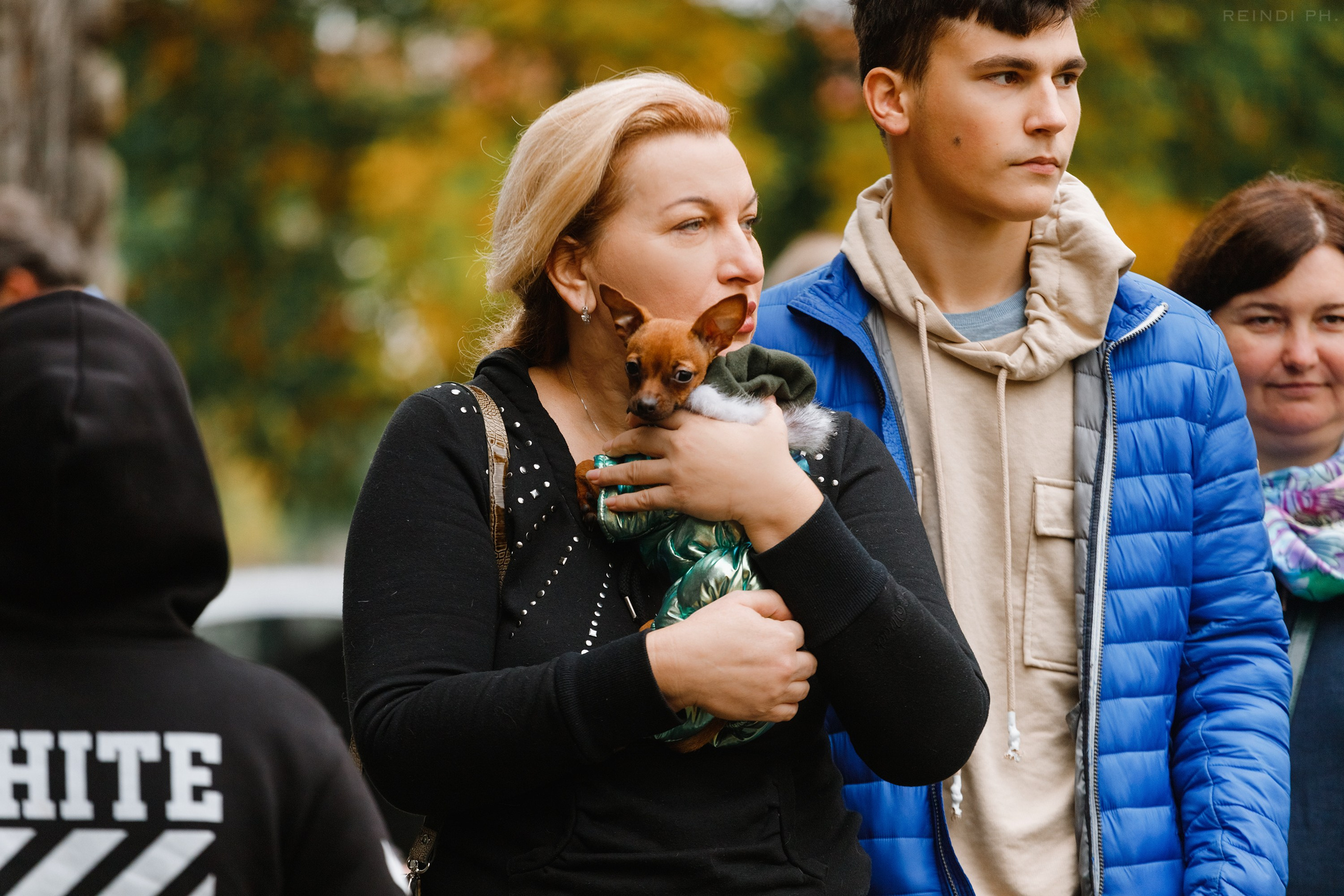 «Argus» dog show in Brest. Kaja | fotograf we Wrocławiu | ludzie i psy