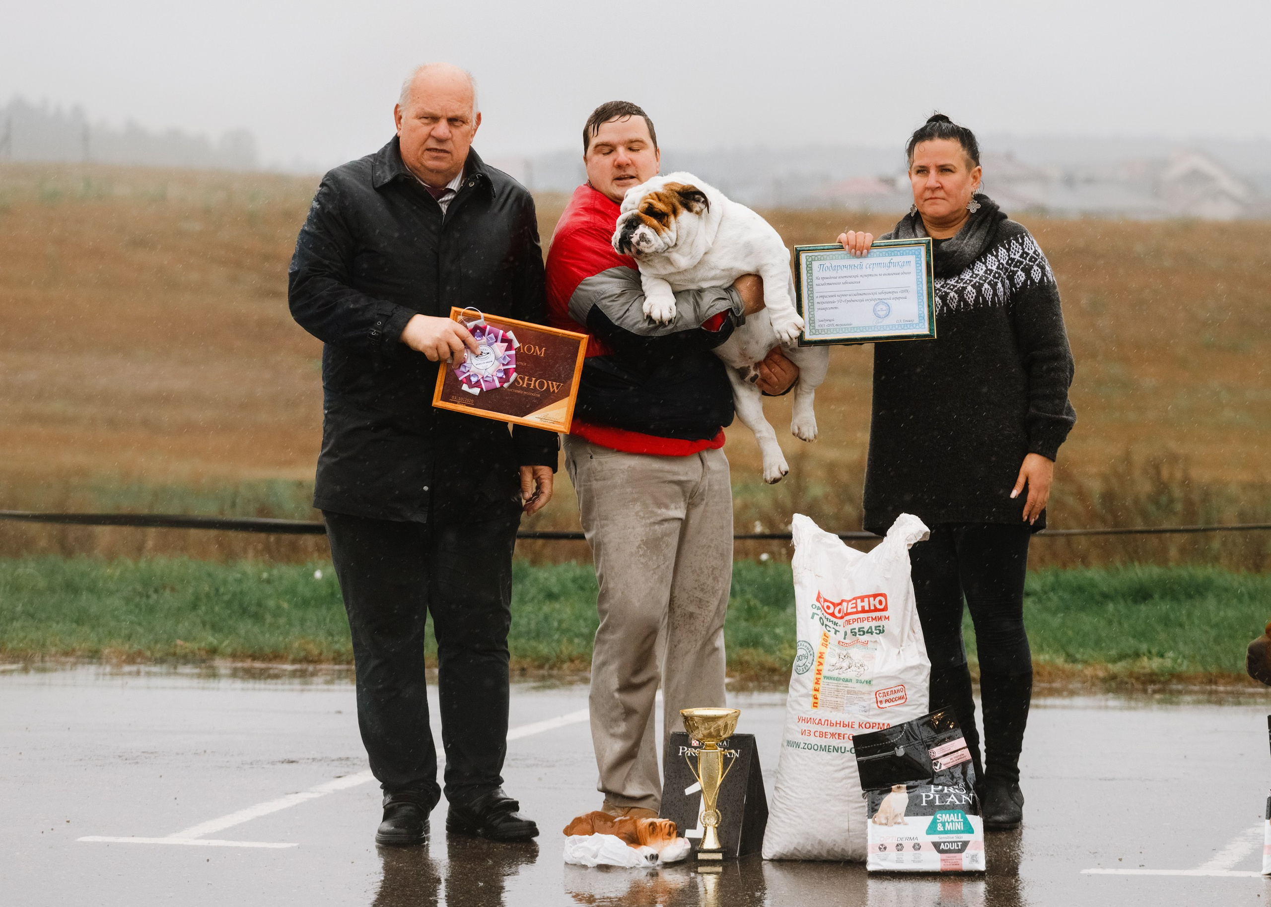 Rainy dog show in Grodno. Kaja | fotograf we Wrocławiu | ludzie i psy