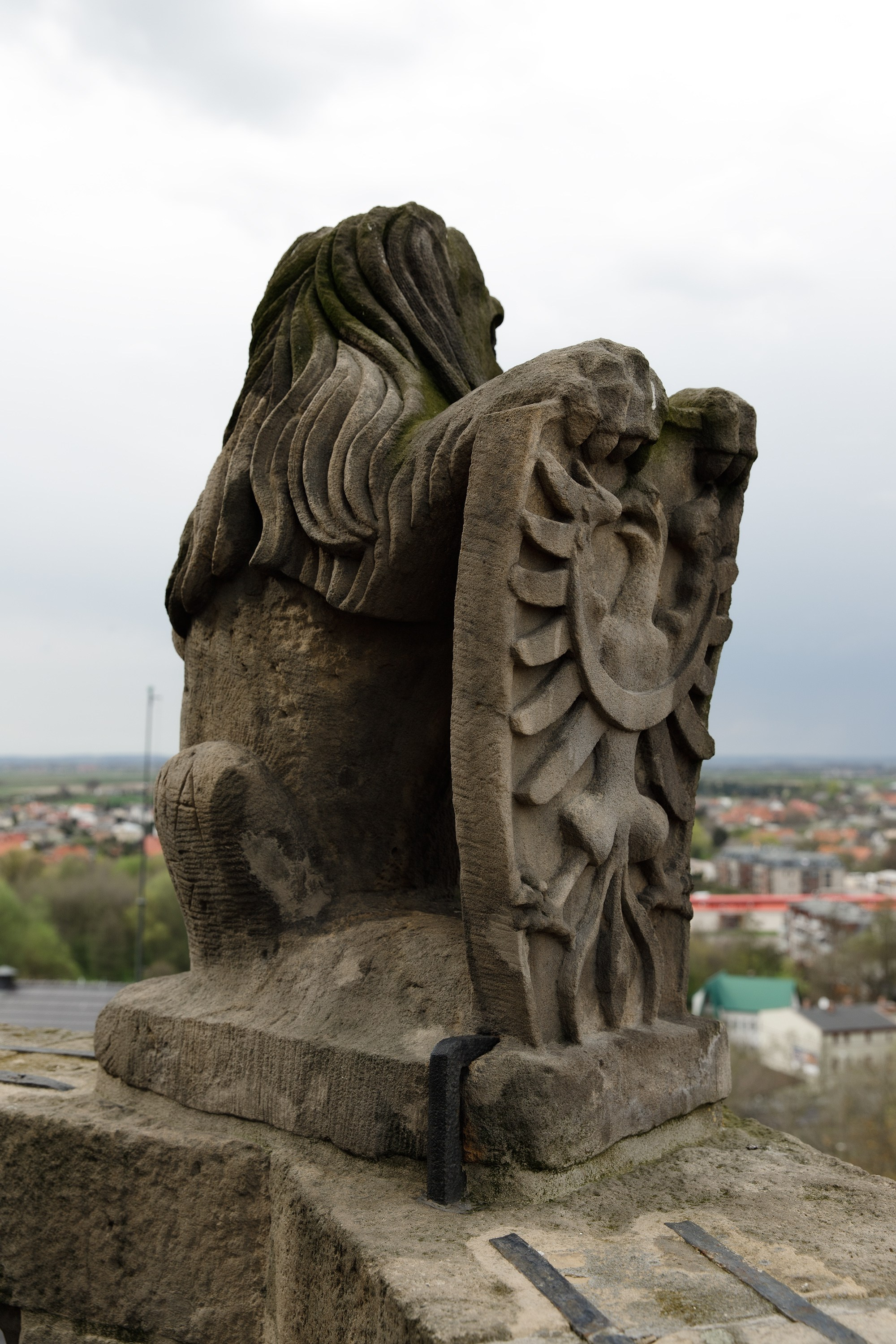Oleśnica castle. Kaja | fotograf psów we Wrocławiu