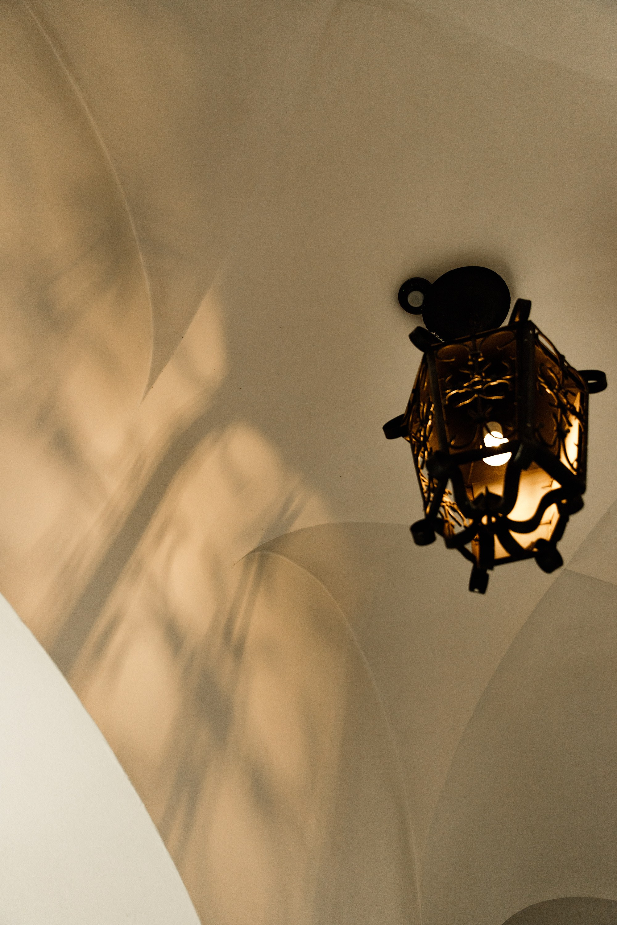 Oleśnica castle. Kaja | fotograf psów we Wrocławiu