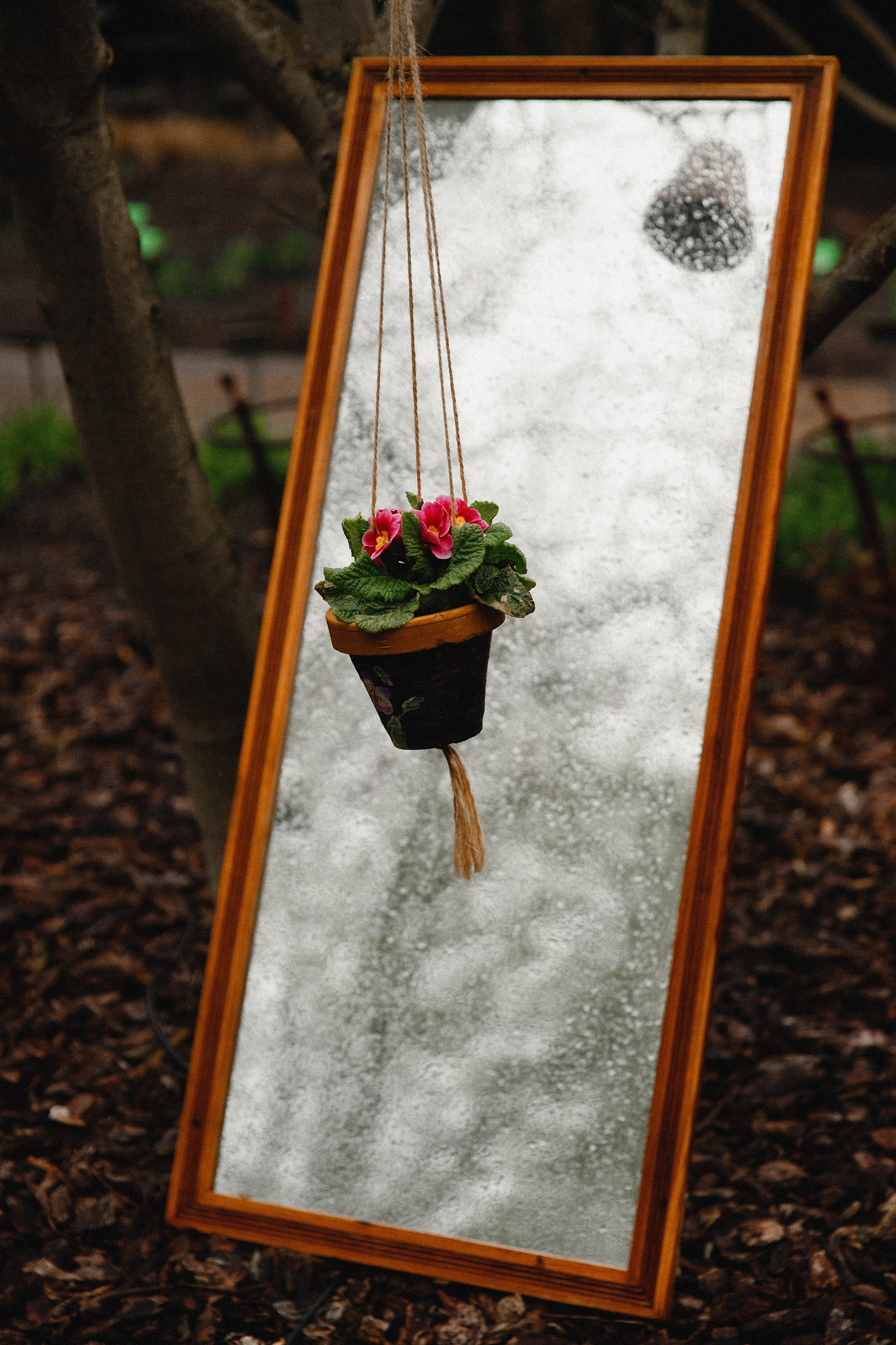 Botanical garden in Wroclaw. Kaja | fotograf we Wrocławiu | ludzie i psy