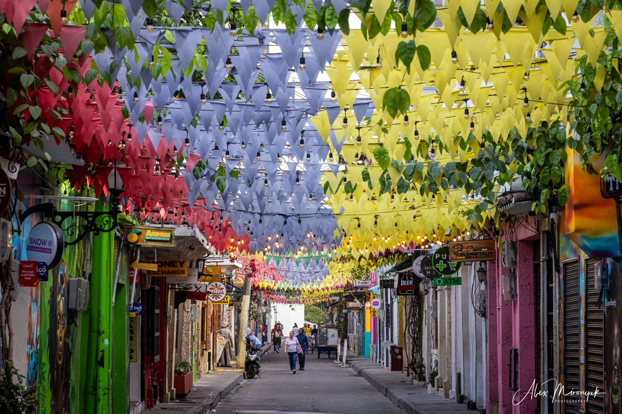 Colombia in Style. Pet, Senior, Landscape, portrait studio, photographer in Miami and Sou