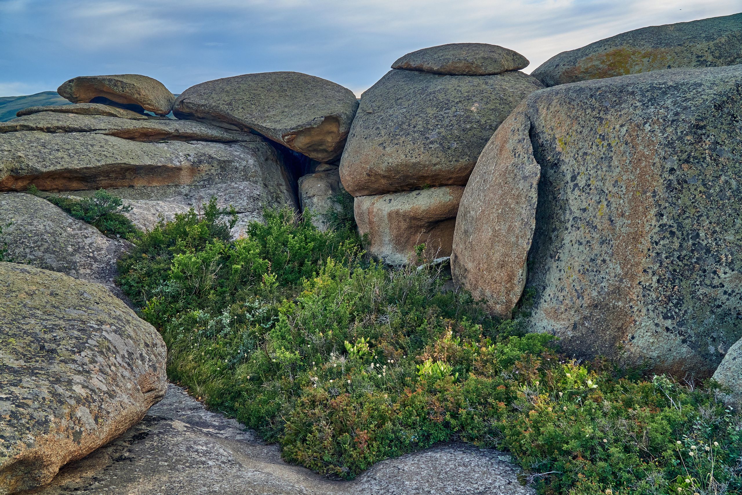 Сибины. Андрей Шипилов — Фотография & Видеография