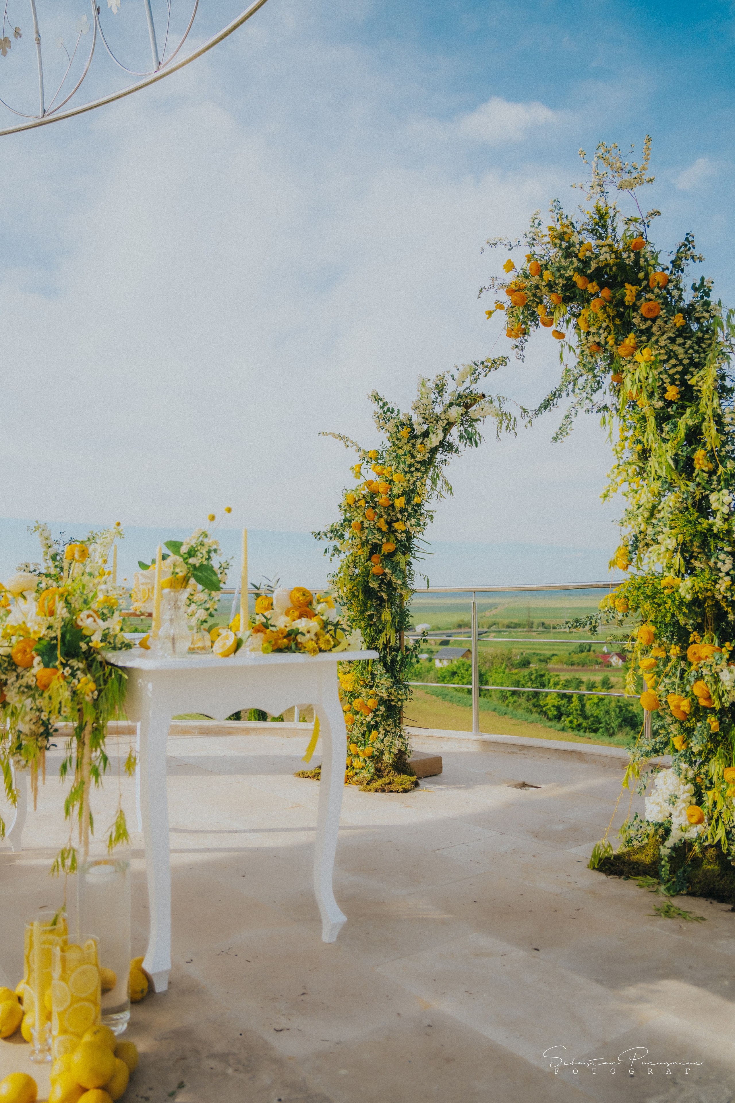 Love & Lemons. Sebastian Purusniuc Fotograf - Iasi