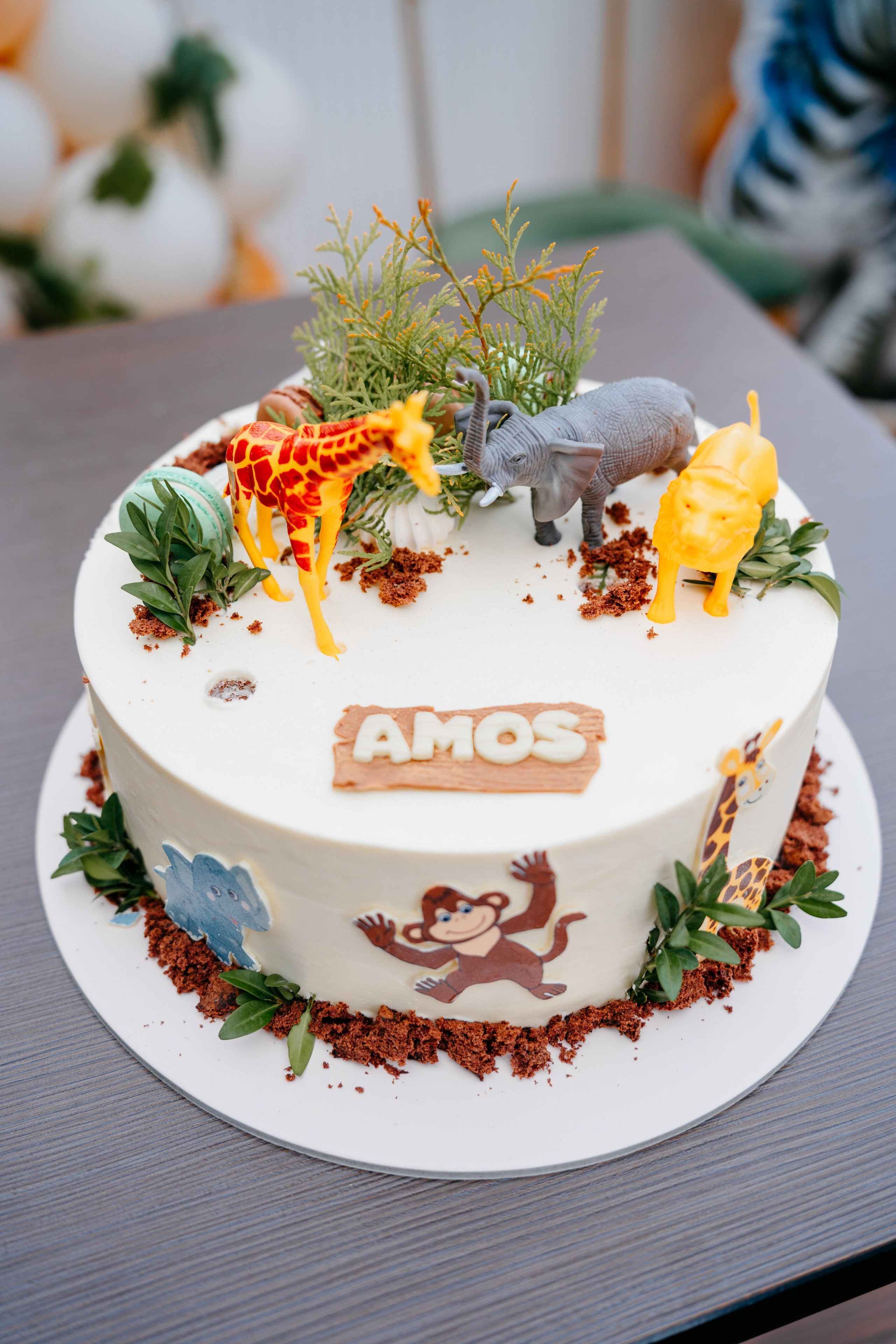 Amos' s 1st Birthday. Fotograf Nunta Iasi - Hearts & Pictures